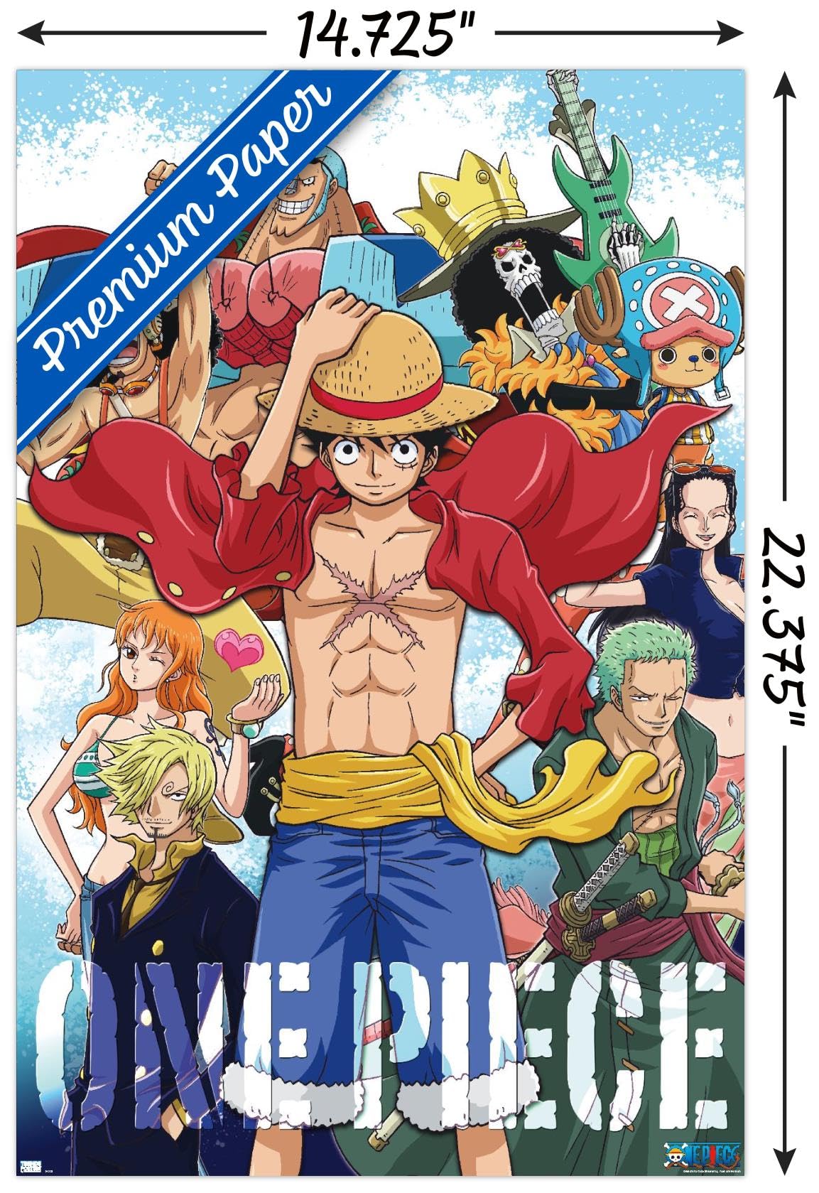 Trends International One Piece - Crew Wall Poster, 22.4L X 14.7W, Premium Poster & Mount Bundle