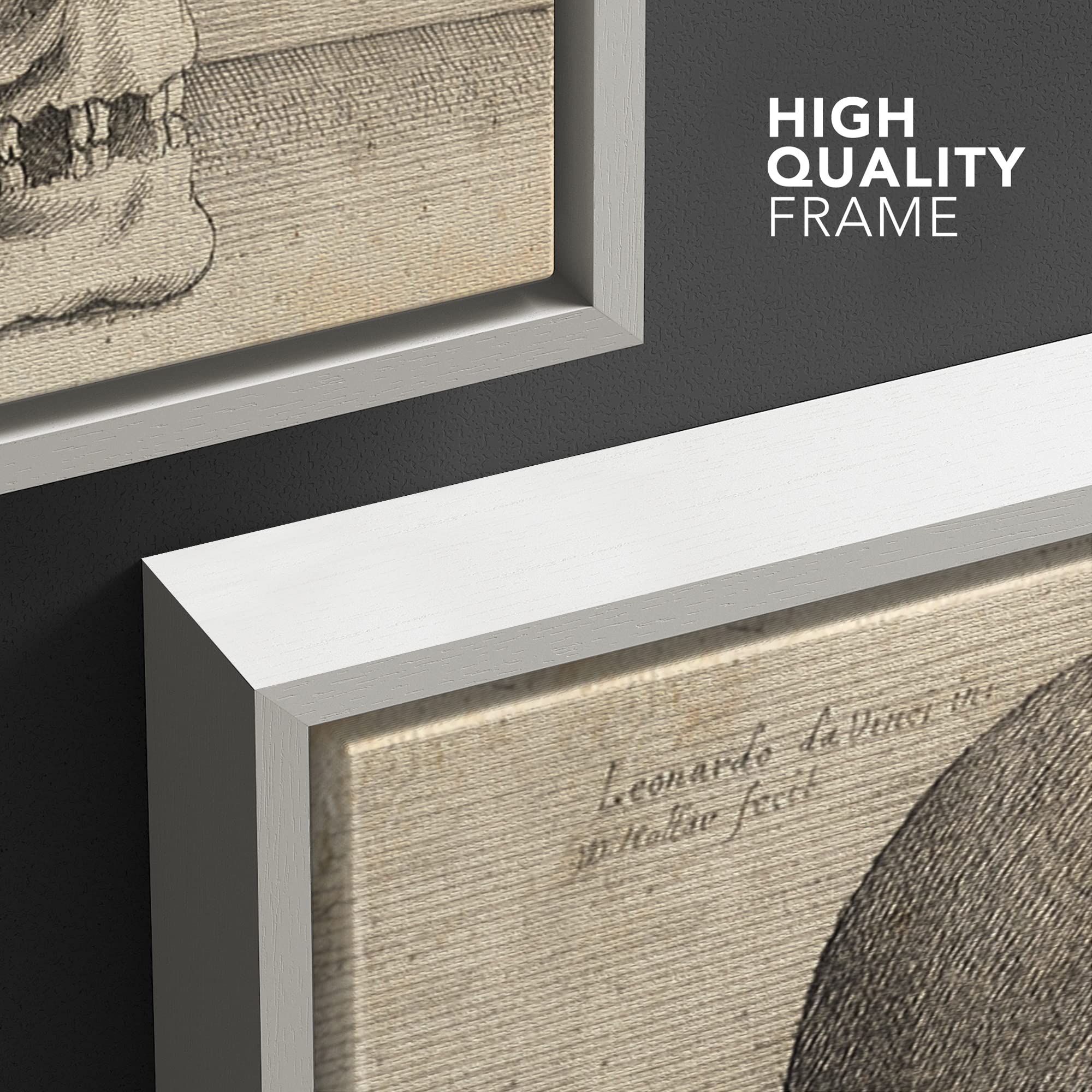Wall26 Framed Framed Canvas Print Wall Art Right Profile Of A Skull By Leonardo Da Vinci Cultural Illustrations Realism Traditio