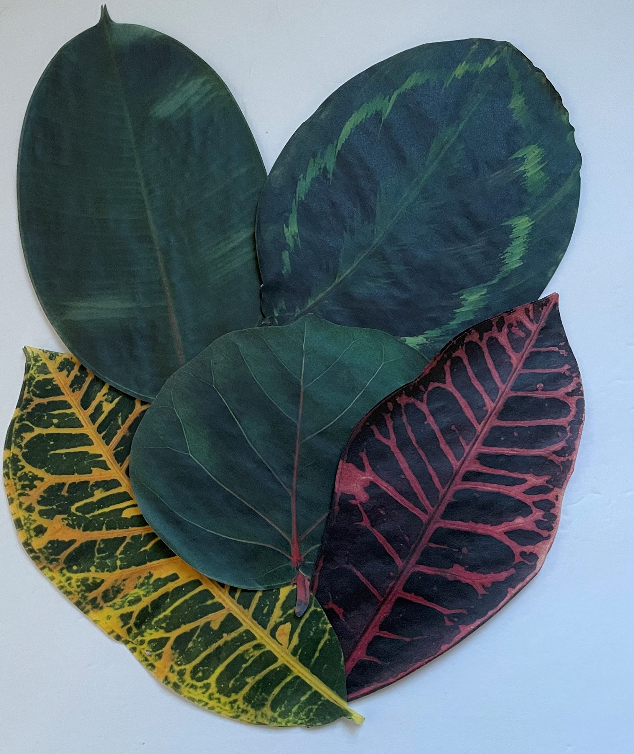 Sisson Distribution Parchment Paper Leaves for Cheese & Charcuterie Boards - Tropical Leaves, 7x7 inches, Pack of 20