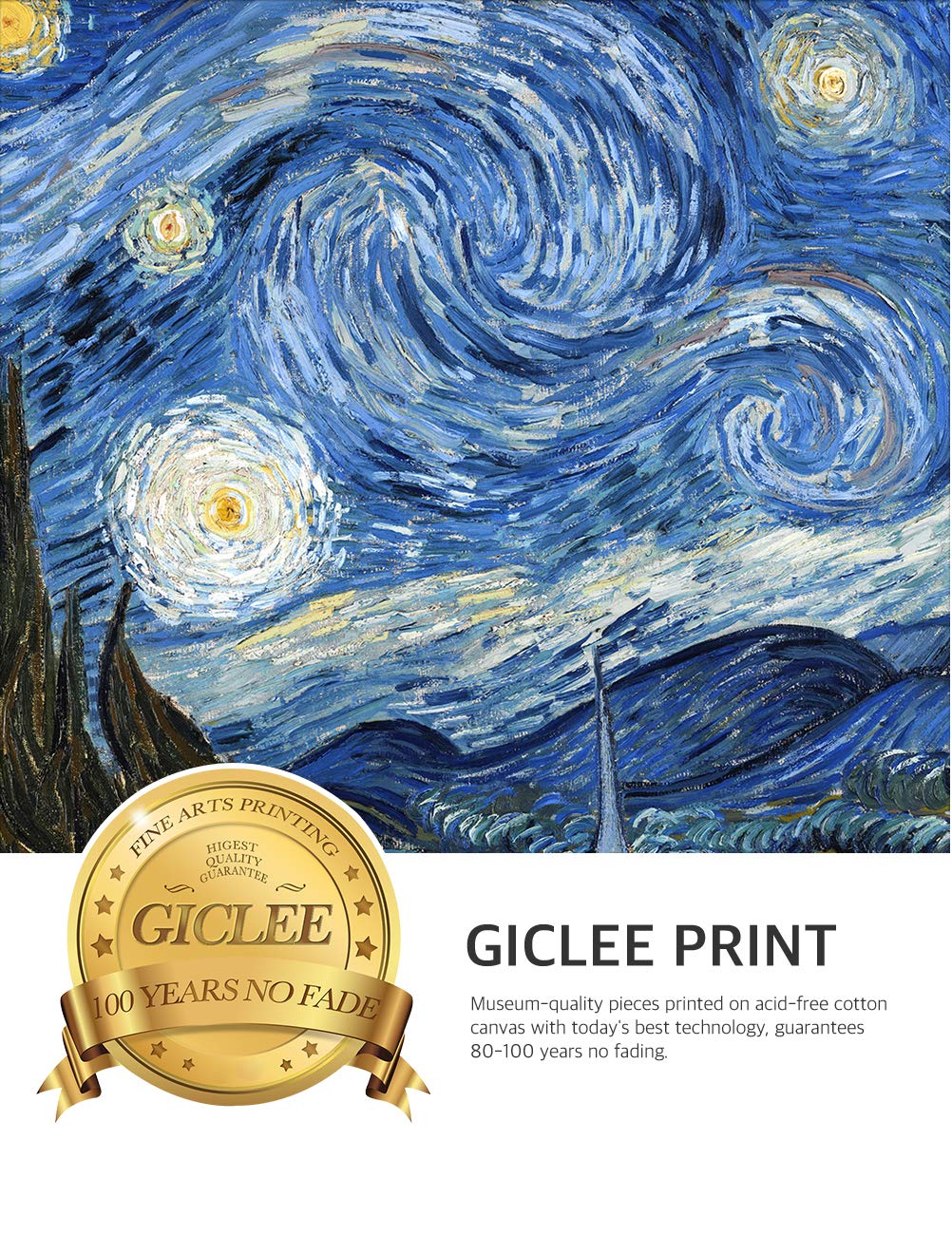 Decorarts - Starry Night - Vincent Van Gogh. Giclee Print On Canvas With Matching Golden-Relief Framed Wall Art. Picture Size: 2