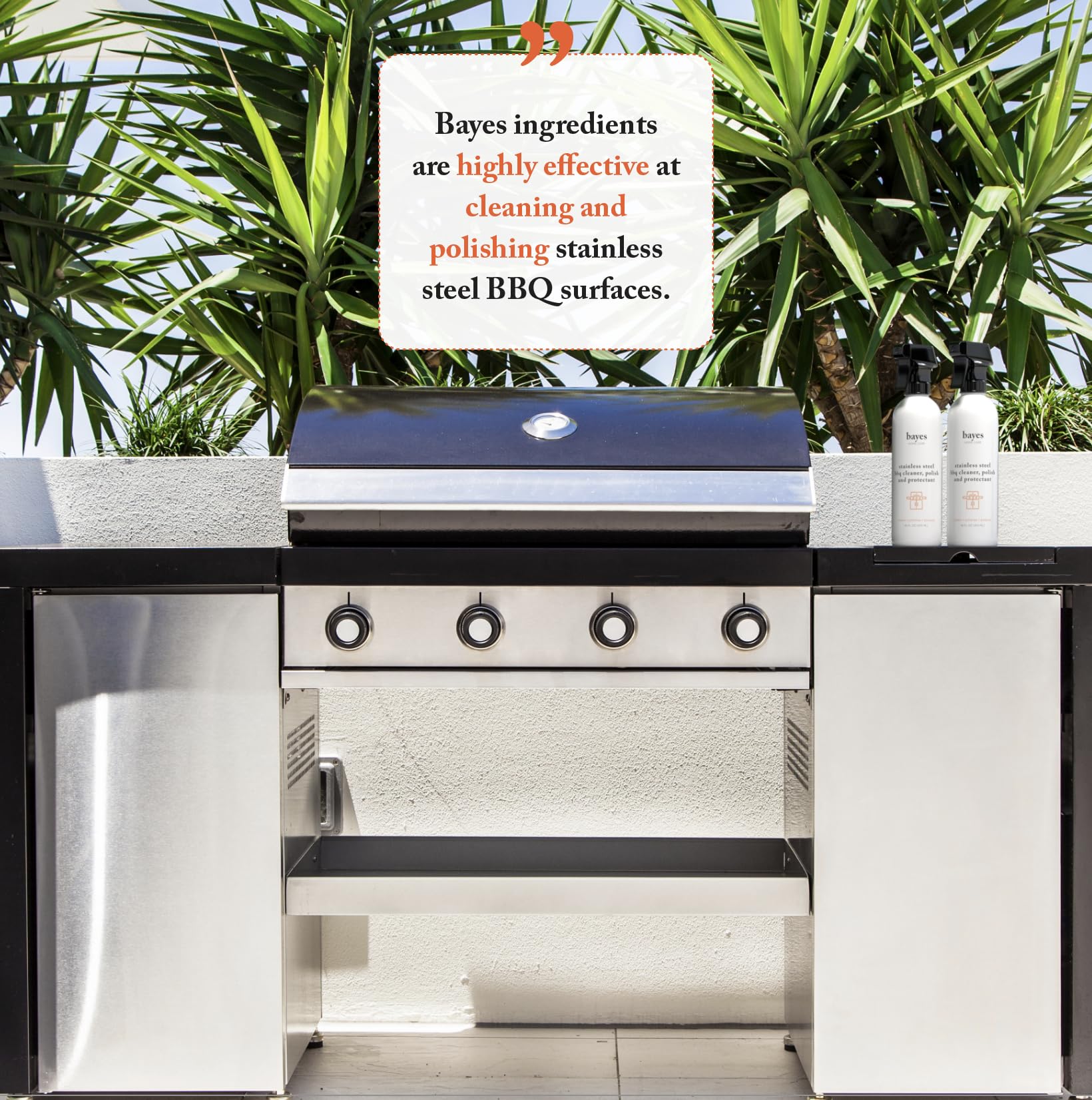 Bayes High-Performance Stainless Steel BBQ Exterior Cleaner and Protectant - Cleans  Shines and Protects Stainless Steel Barbecue Surfaces  Shields from Outdoor Elements - 16 oz