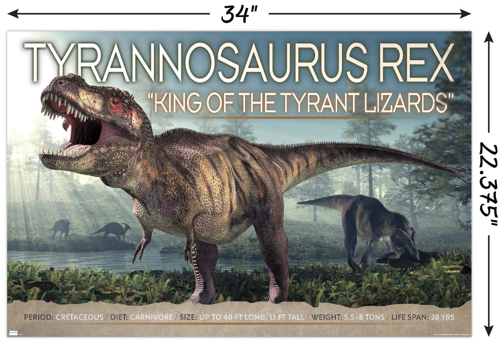 Trends International Dinosaurs - T-Rex Wall Poster, 22.375'' X 34'', Poster & Mount Bundle