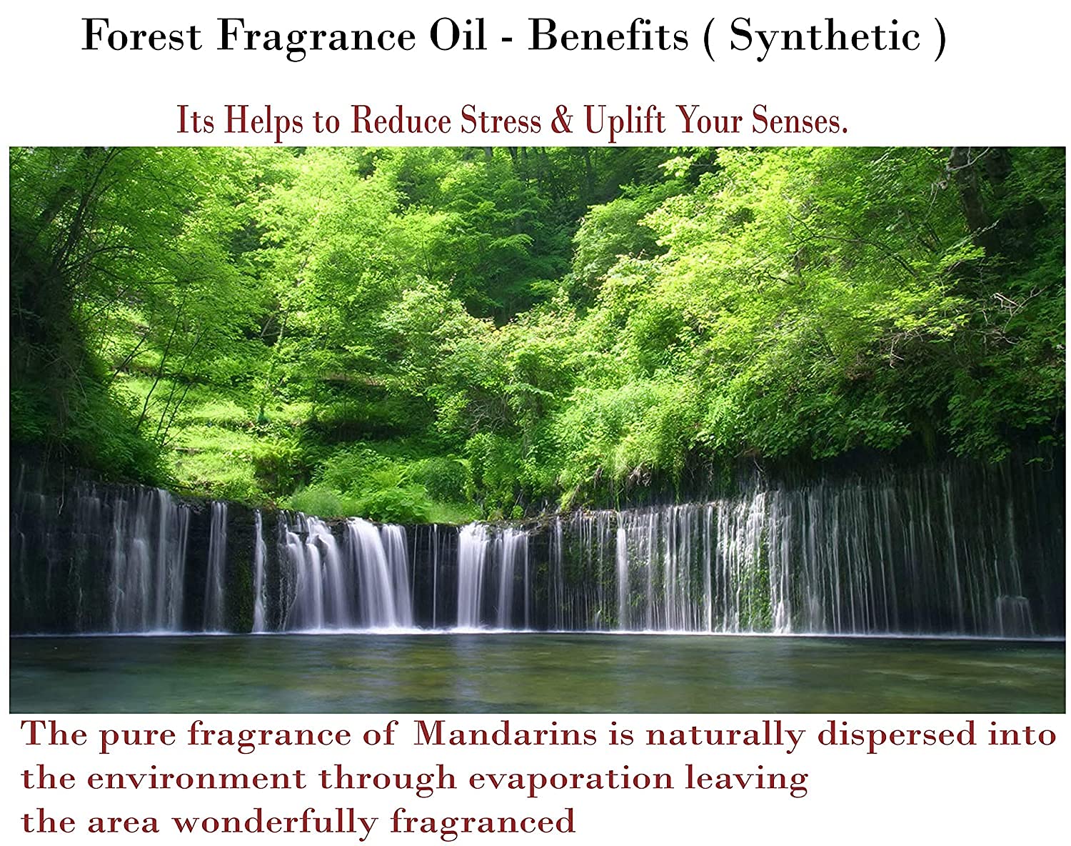 Pure Indian Candle Handpourd Forest Scented Blue Wax Votive Candle PIC2019VC002 (Pack of 4 Pcs.) Burn Time 10 Hrs.