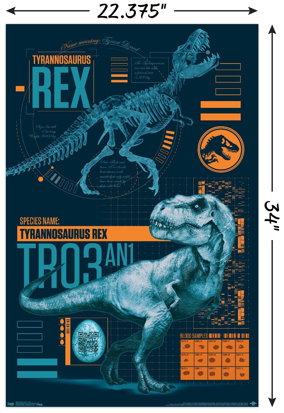 Trends International Jurassic World: Fallen Kingdom - T-Rex Wall Poster, 22.375'' X 34'', Unframed Version