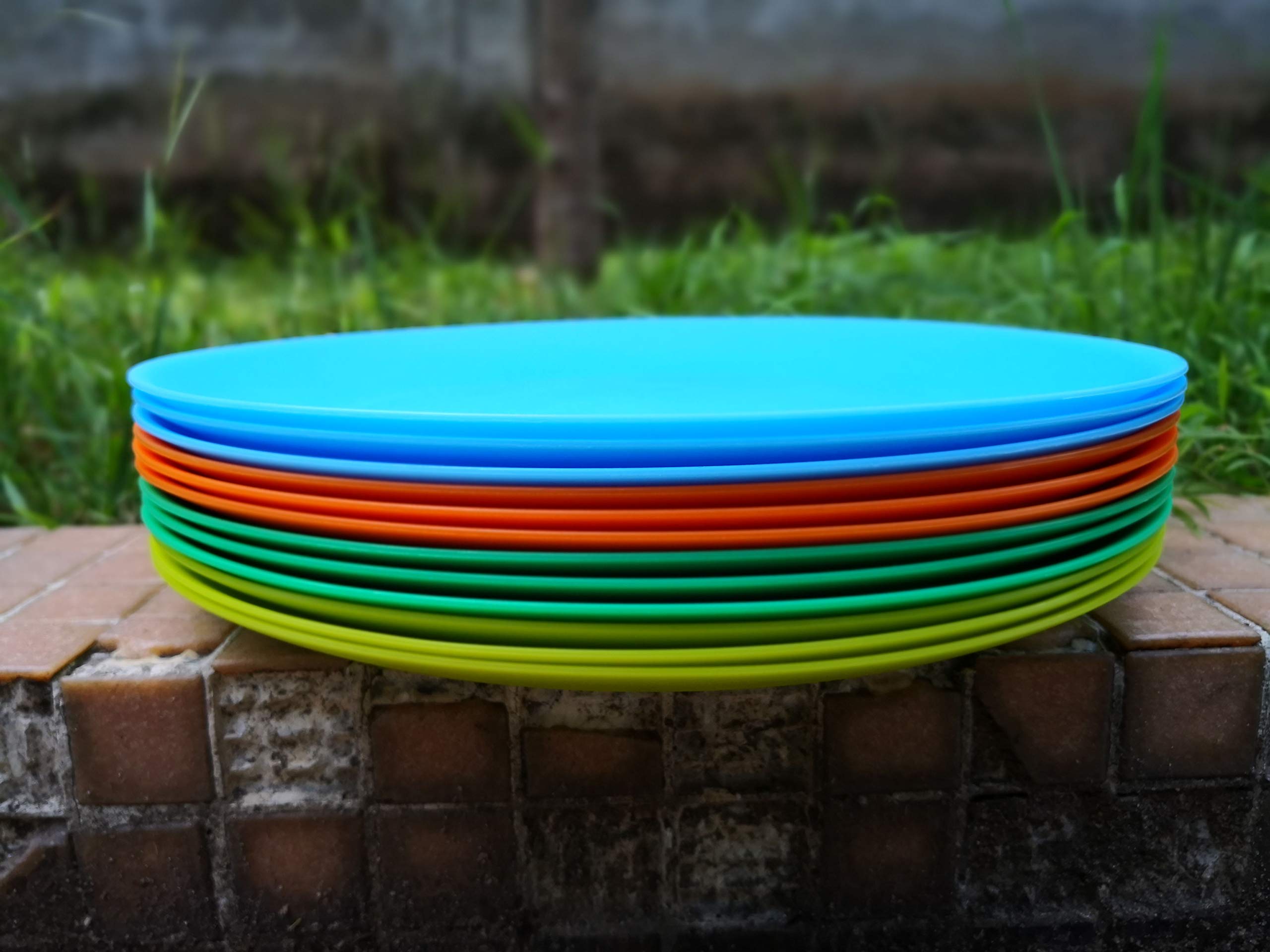 Aoyite Plastic Dinner Plates Reusable Bpa Free Dishwasher Safe Microwaveable For Any Occasion, Bbq, Travel, And Events (Multicol