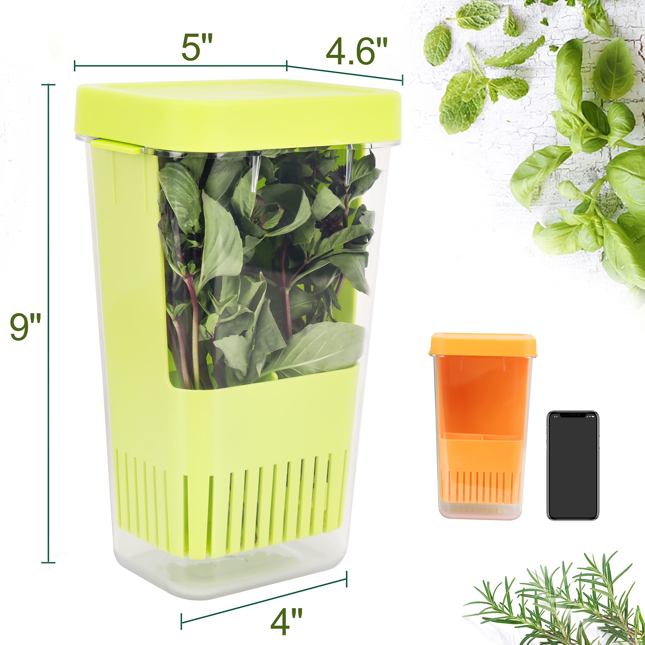 Luvcosy Fresh Herb Keeper For Refrigerator, Clear Bpa-Free Herb Saver, Storage Container For Cilantro, Parsley, Thyme, Mint & As