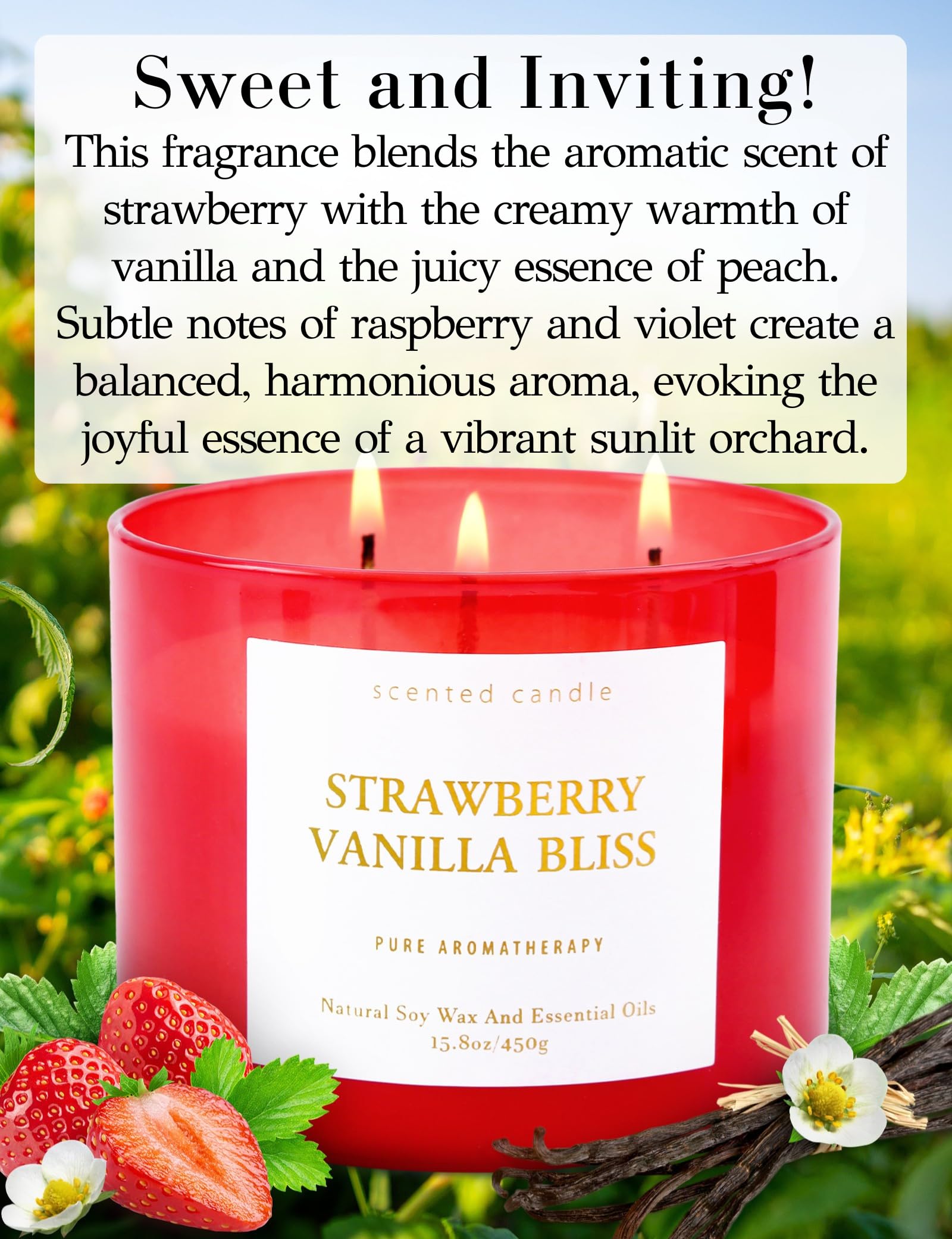Strawberry Vanilla Aromatherapy Candle - Large 3 Wick Soy Scented Candle 15.8 oz - Relaxing Vanilla Candle for Home & Stress Rel