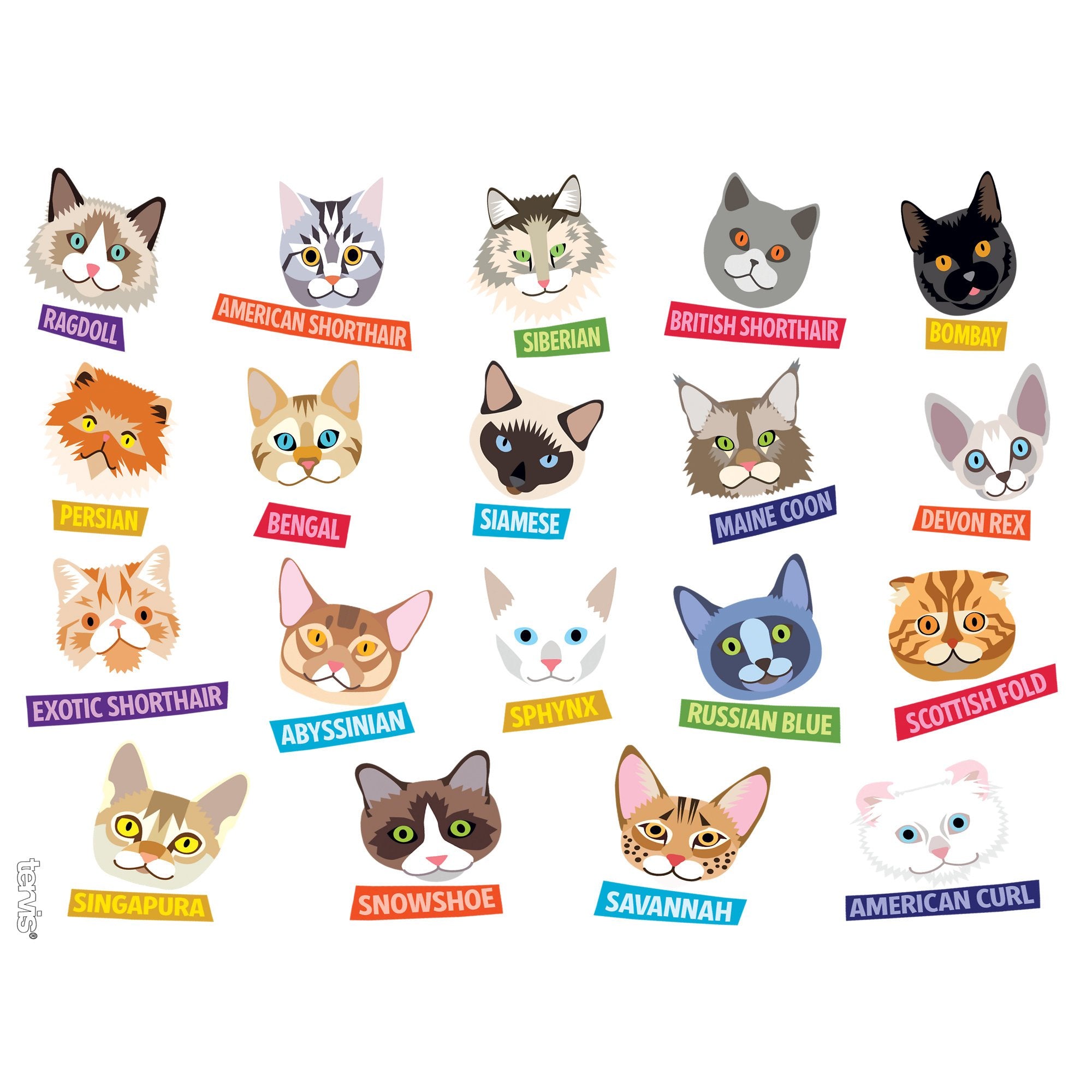 Tervis Flat Art Cats Made In Usa Double Walled Insulated Tumbler Travel Cup Keeps Drinks Cold & Hot, 24Oz, Clear