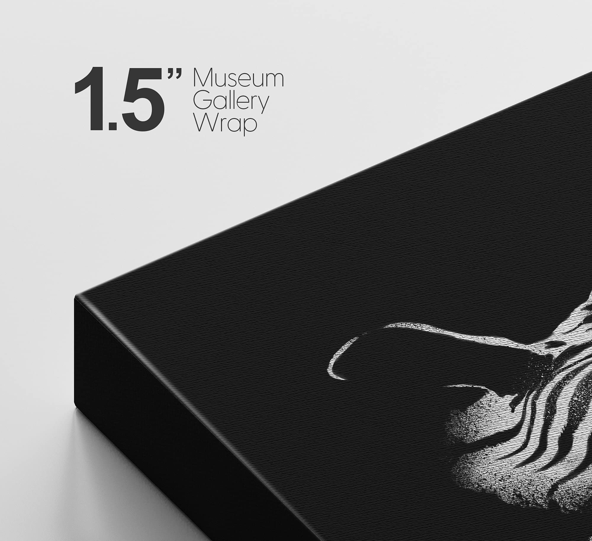 Signford Canvas Print Wall Art Portrait Of Zebra Animals Wildlife Photography Realism Modern Closeup Dramatic Dark Black And Whi