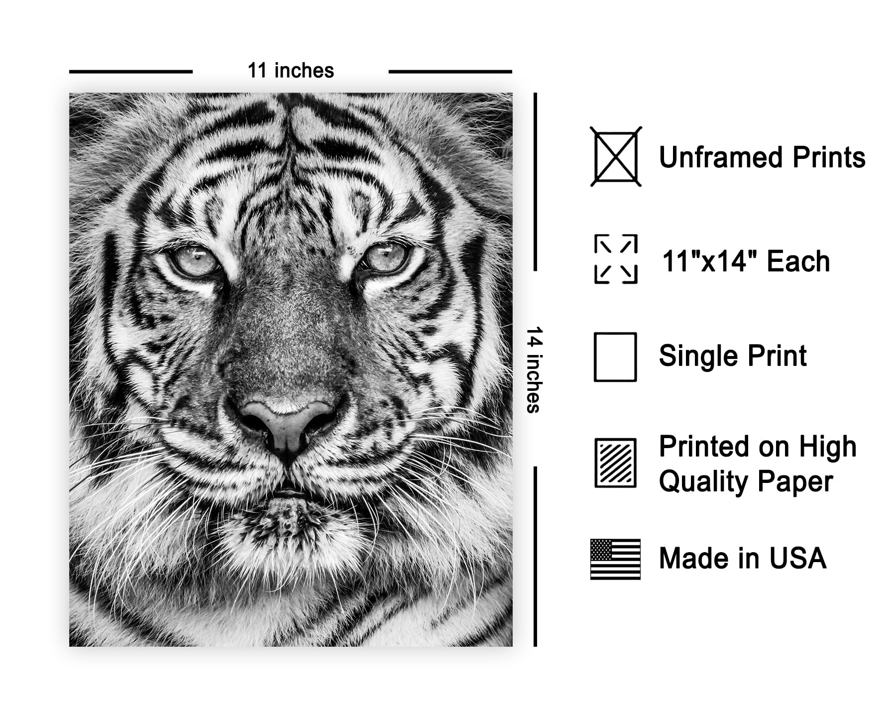 Poster Master Tiger Print - Retro Portrait Poster - Black & White Art - Minimal Gift for Men, Women, Animal Lover - Great Wall D