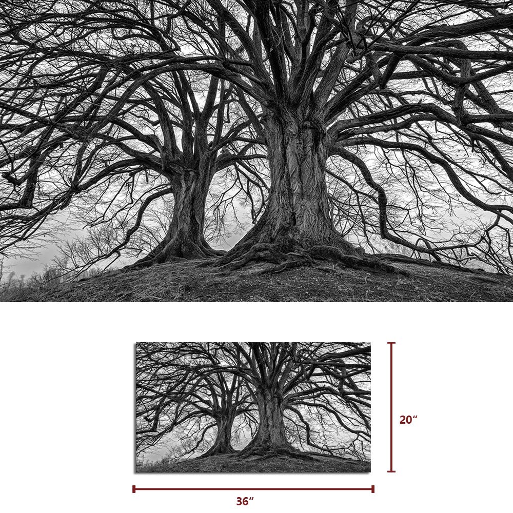 Visual Art Decor Large Black And White Trees Canvas Wall Art Winter Oak Trees Branches Picture Nature Scenery Giclee Prints Fram