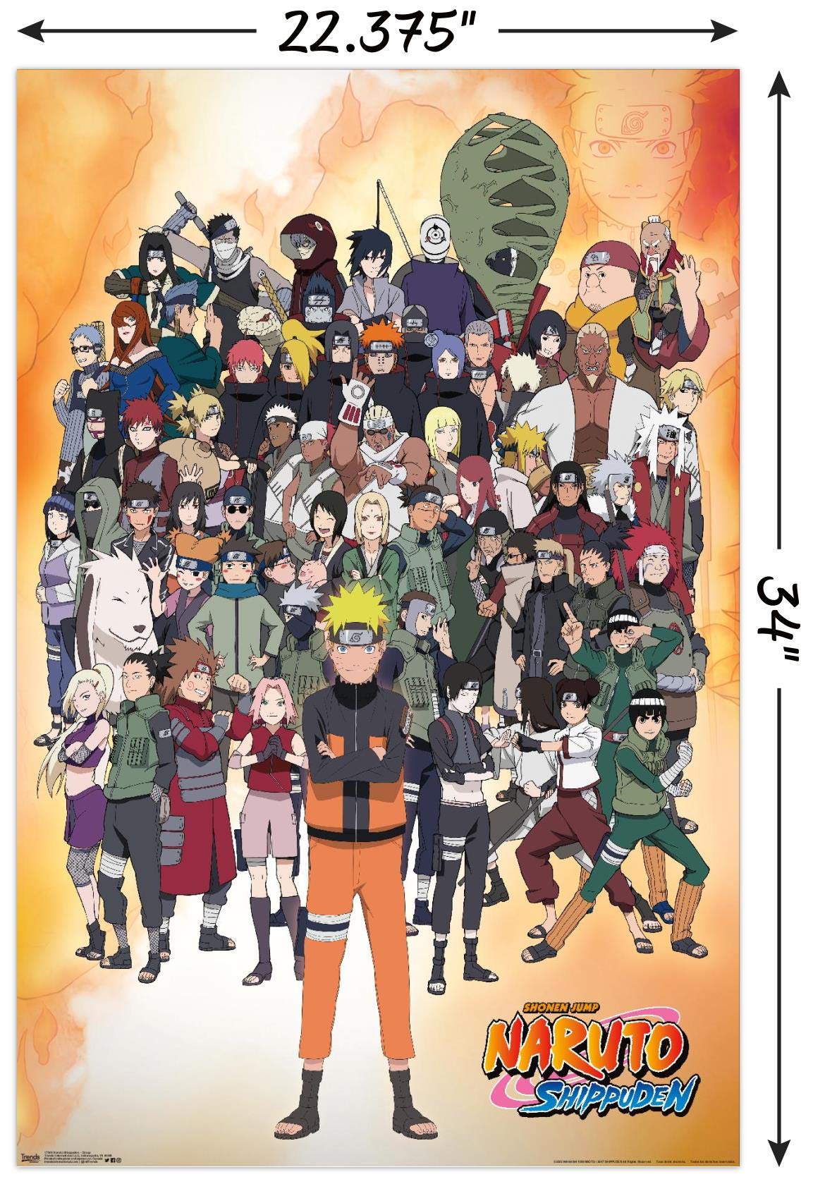 Trends International Naruto Shippuden - Group Wall Poster, 22.375'' X 34'', Poster & Mount Bundle