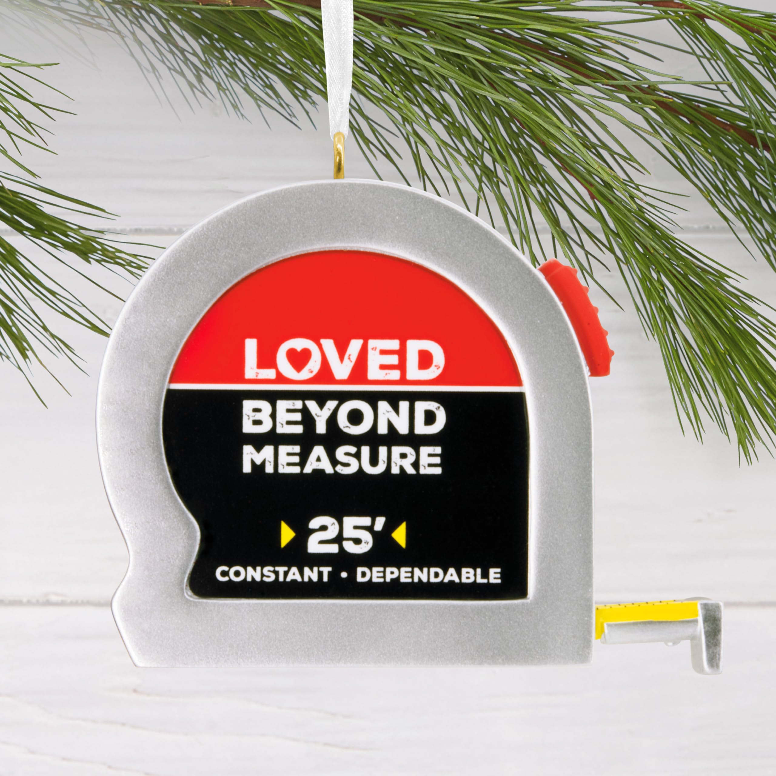 Hallmark Loved Beyond Measure Christmas Ornament