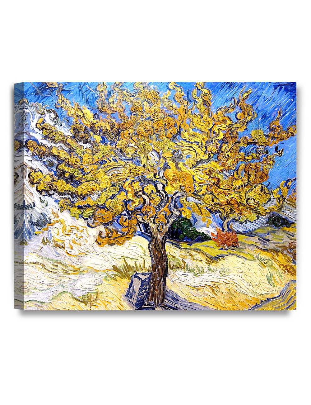 Decorarts - The Mulberry Tree By Vincent Van Gogh. Oil Painting Reproduction. Giclee Print On Canvas. Ready To Hang Wall Art For