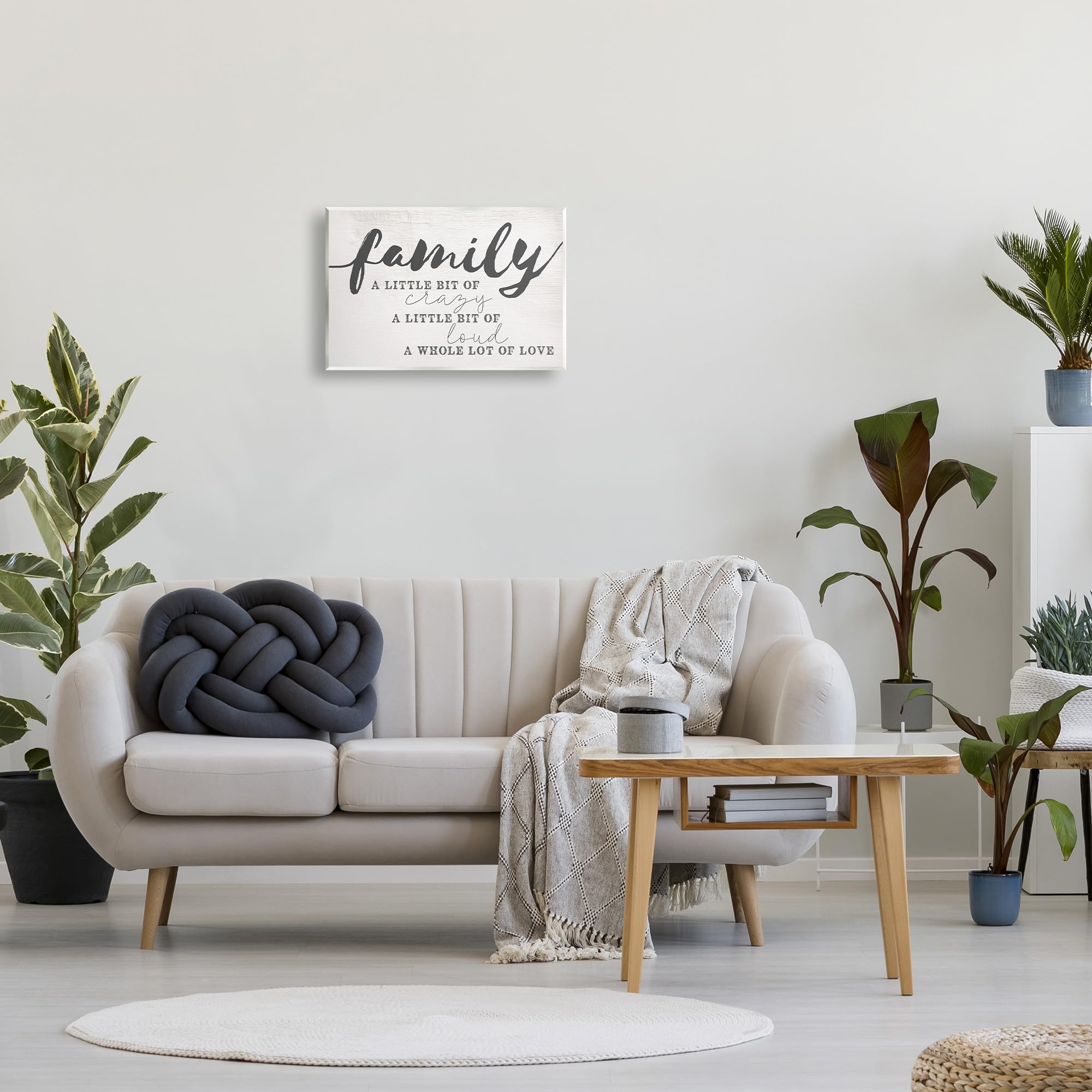 Stupell Industries Family Crazy Loud Love Inspirational Word Design Wall Plaque, Multi-Color 13 X 19