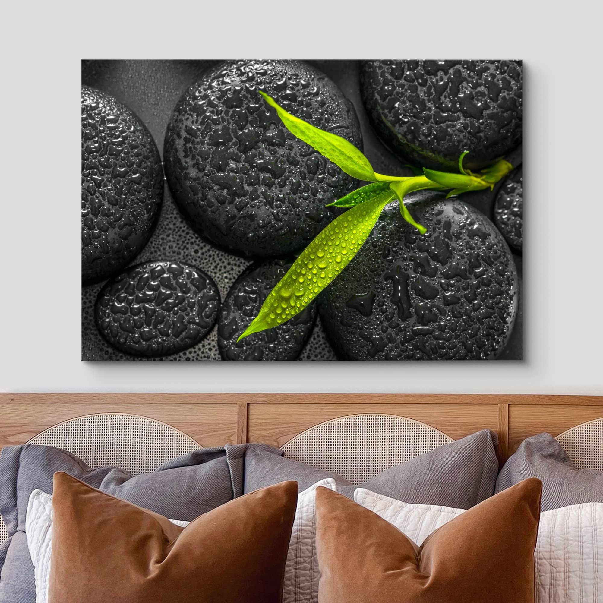 Wall26 Canvas Print Wall Art Sprouting Green Plant Over Dark Black Stones Floral Nature Photography Realism Bohemian Scenic Rela