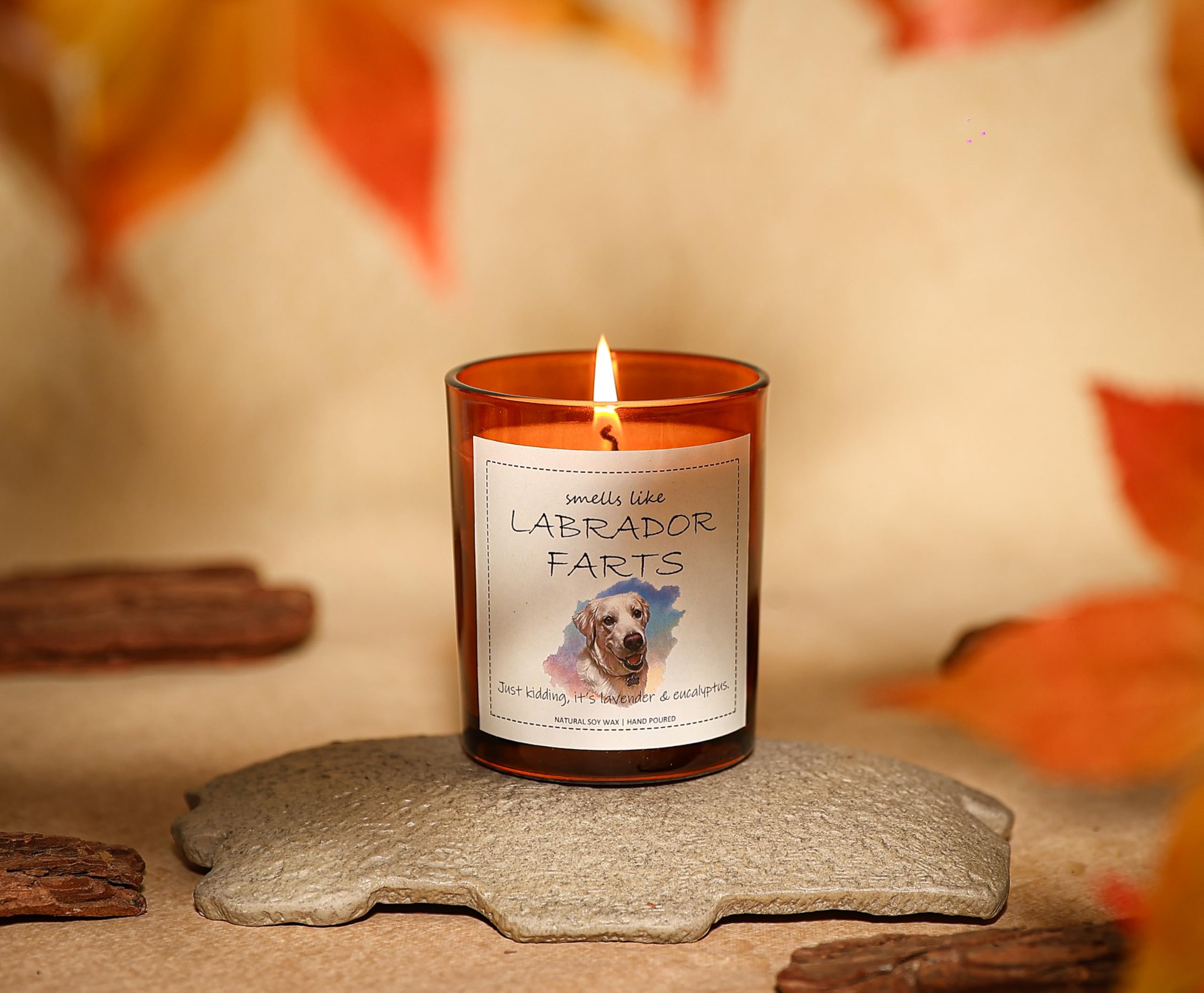 Labrador Gifts & Decor, Labrador Retriever Gifts, Dog Mom Gift for Women, Smells Like Labrador Farts Candle - Lavender & Eucalyp