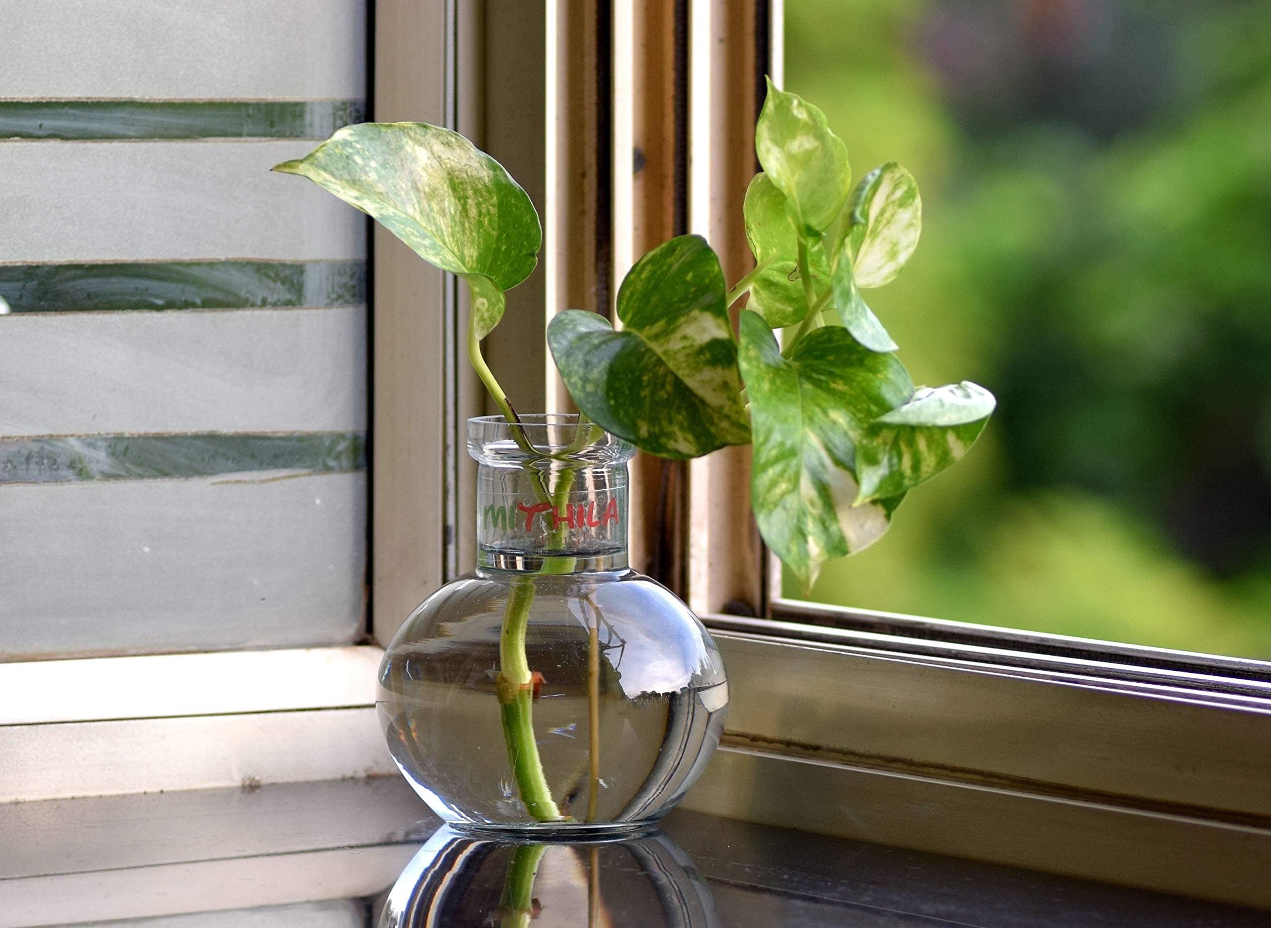 Mithila Handicrafts 4.7 Inch Ball Shaped Round Glass Vase | For Money Plant | Lucky Bamboo Plant | Elegant Vase | Flower Pot | 1