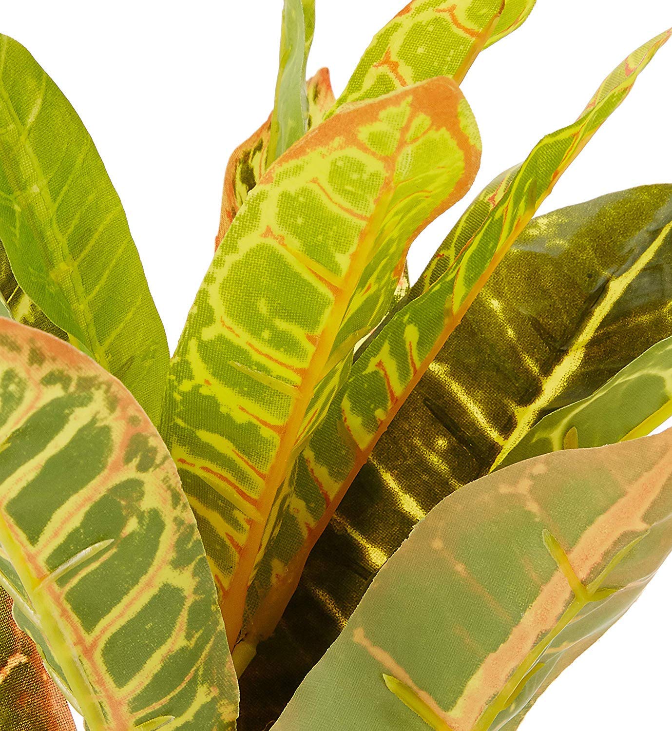 Fourwalls Artificial Croton Plant Stems for Home Decoration (35 cm, Set of 3, no Pot)