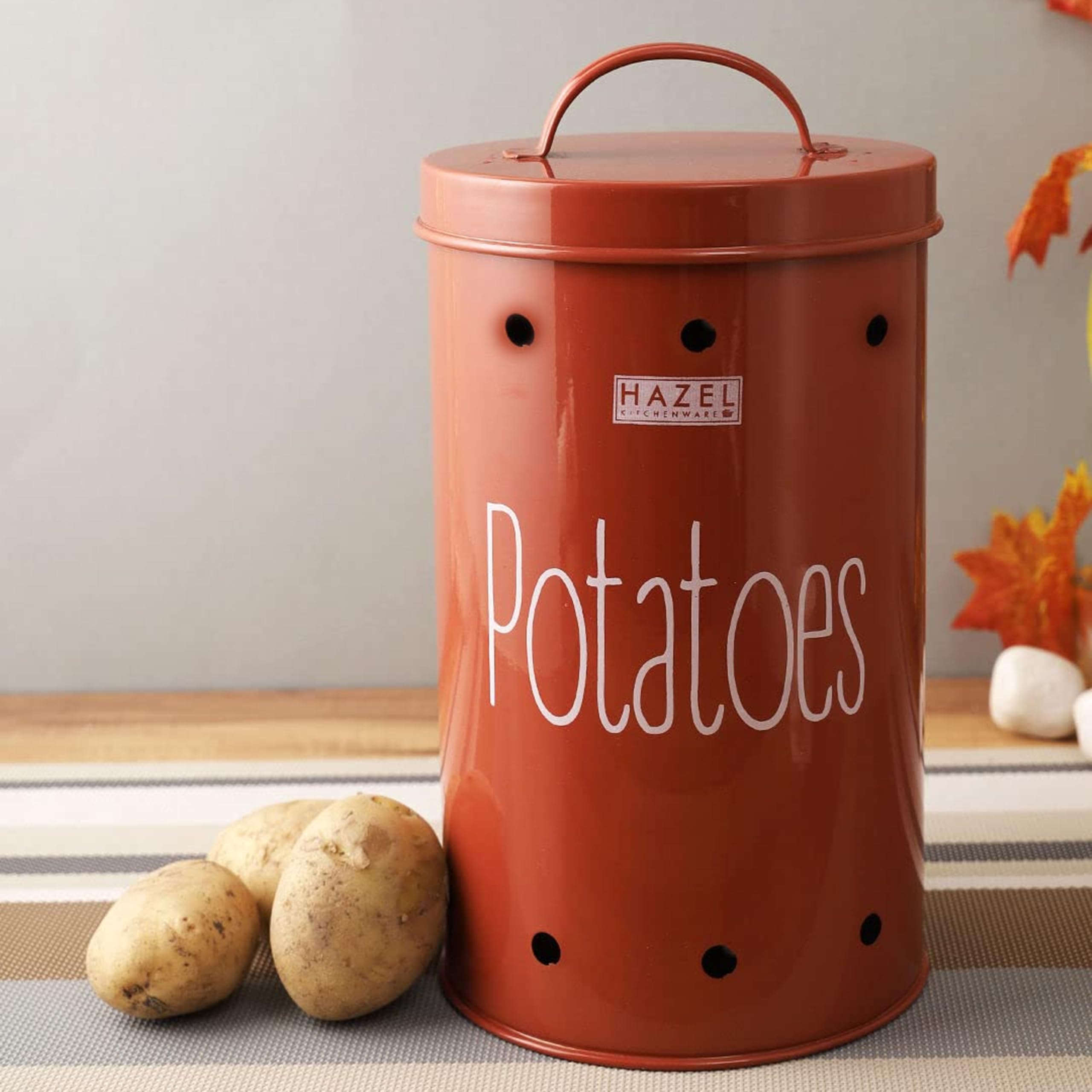 Hazel Galvanized Onion Potato Storage Container For Kitchen (Red, Potato), 3 L