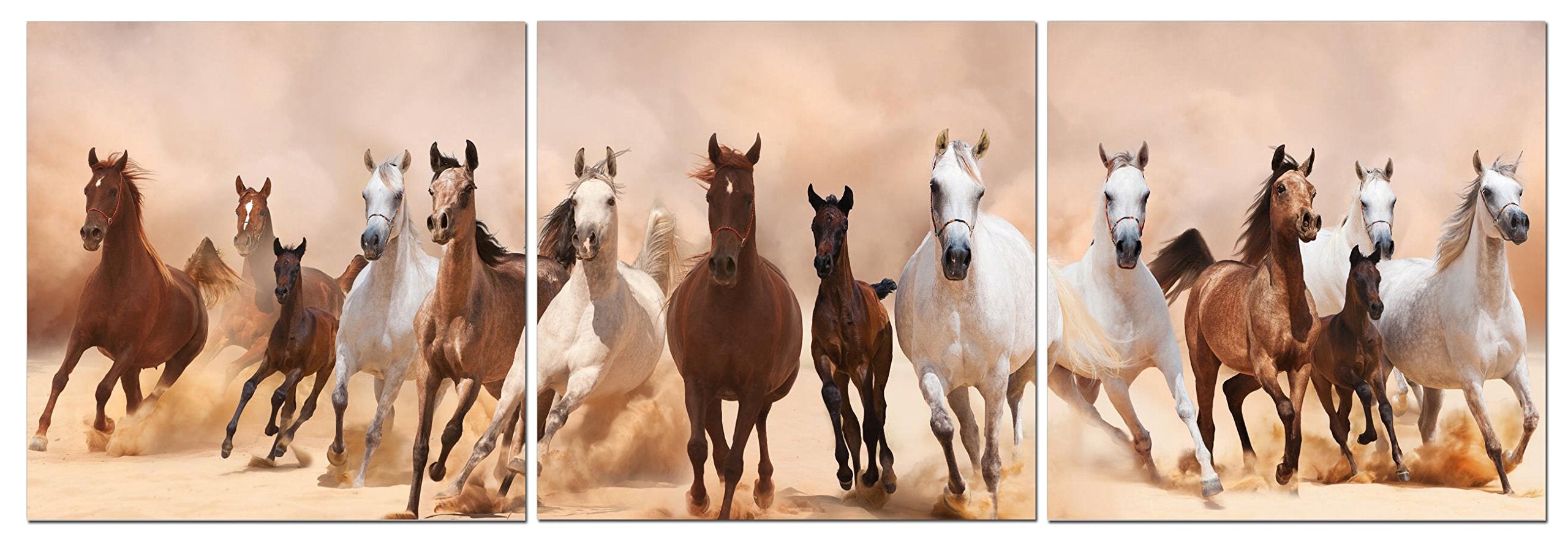 Canvas Wall Art Decor - 24X24 3 Piece Set (Total 24X72 Inch)- Panoramic Galloping Horses - Large Decorative & Modern Multi Panel