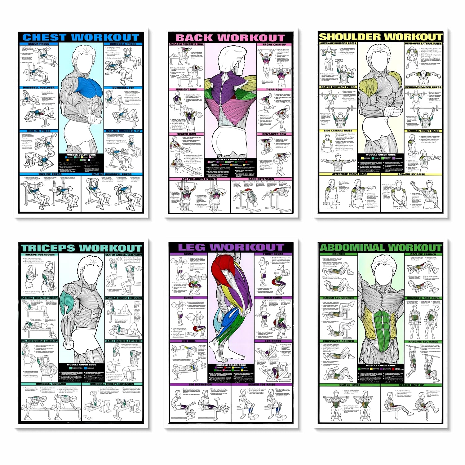 Pixelartz Paper Wall Poster Motivational Workout And Exercises Illustrations Bodybuilding Gym Posters Hd Quality Posters For Hom