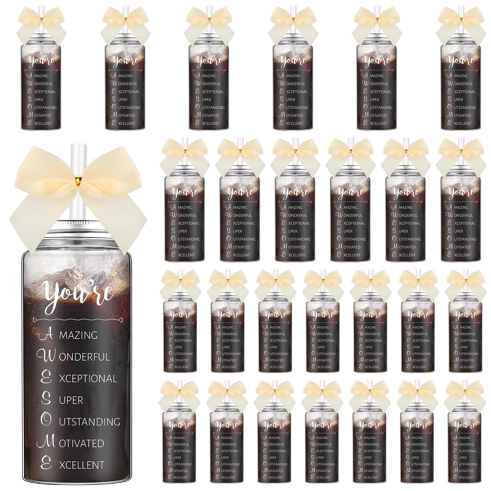 Skylety 24 Pack Inspirational Appreciation Gifts Bulk for Women Employee Coworker Teacher Appreciation Gift Cups Bulk with Lid S