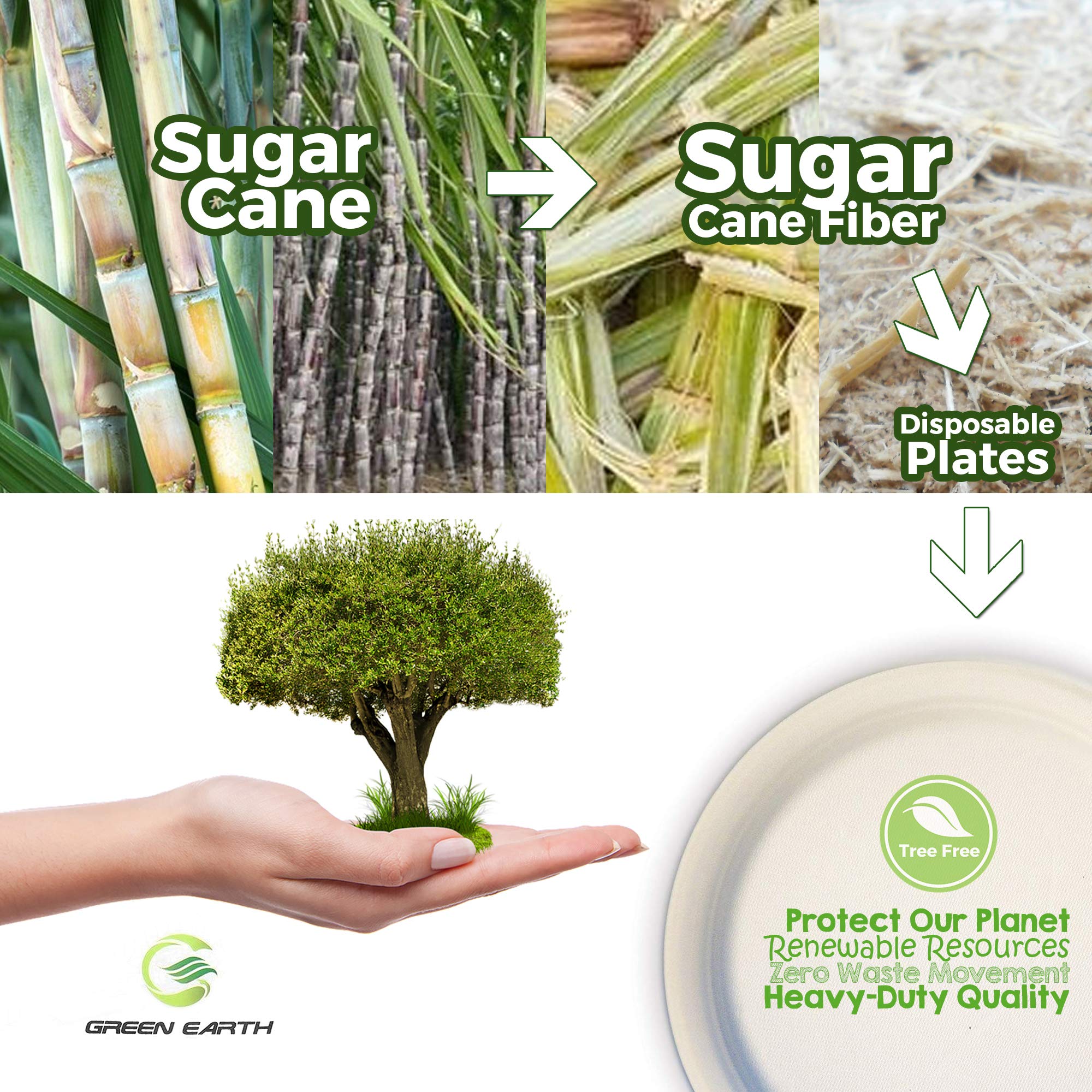 Green Earth, 100% Compostable Paper Plates Natural Bagasse, Sugarcane Fiber, Breakfast Lunch Dinner Biodegradable Recycled Dispo