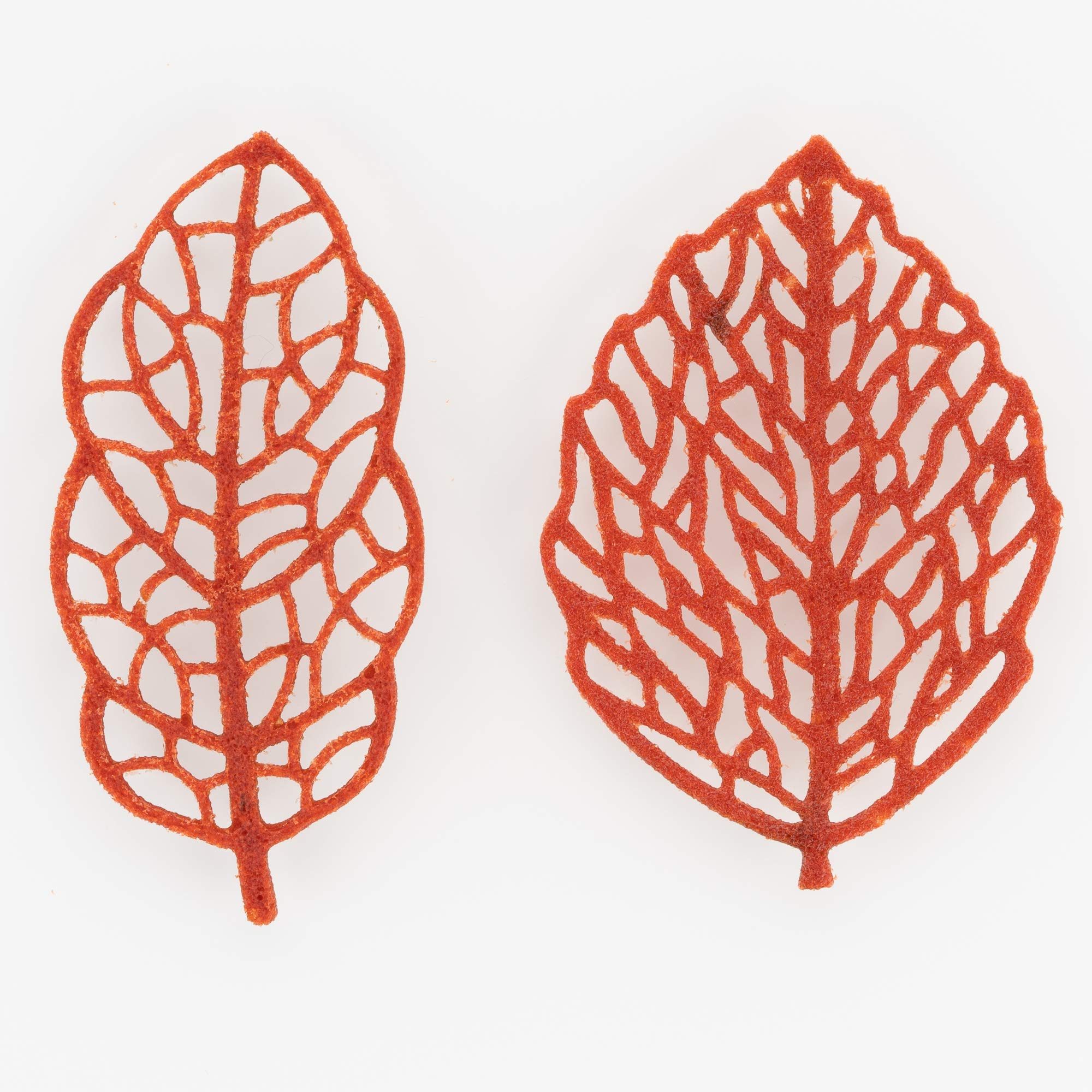 Silikomart Foresta Silicone Mold with 12 Oak-Leaf Imprints and 12 Rose-Leaf Imprints