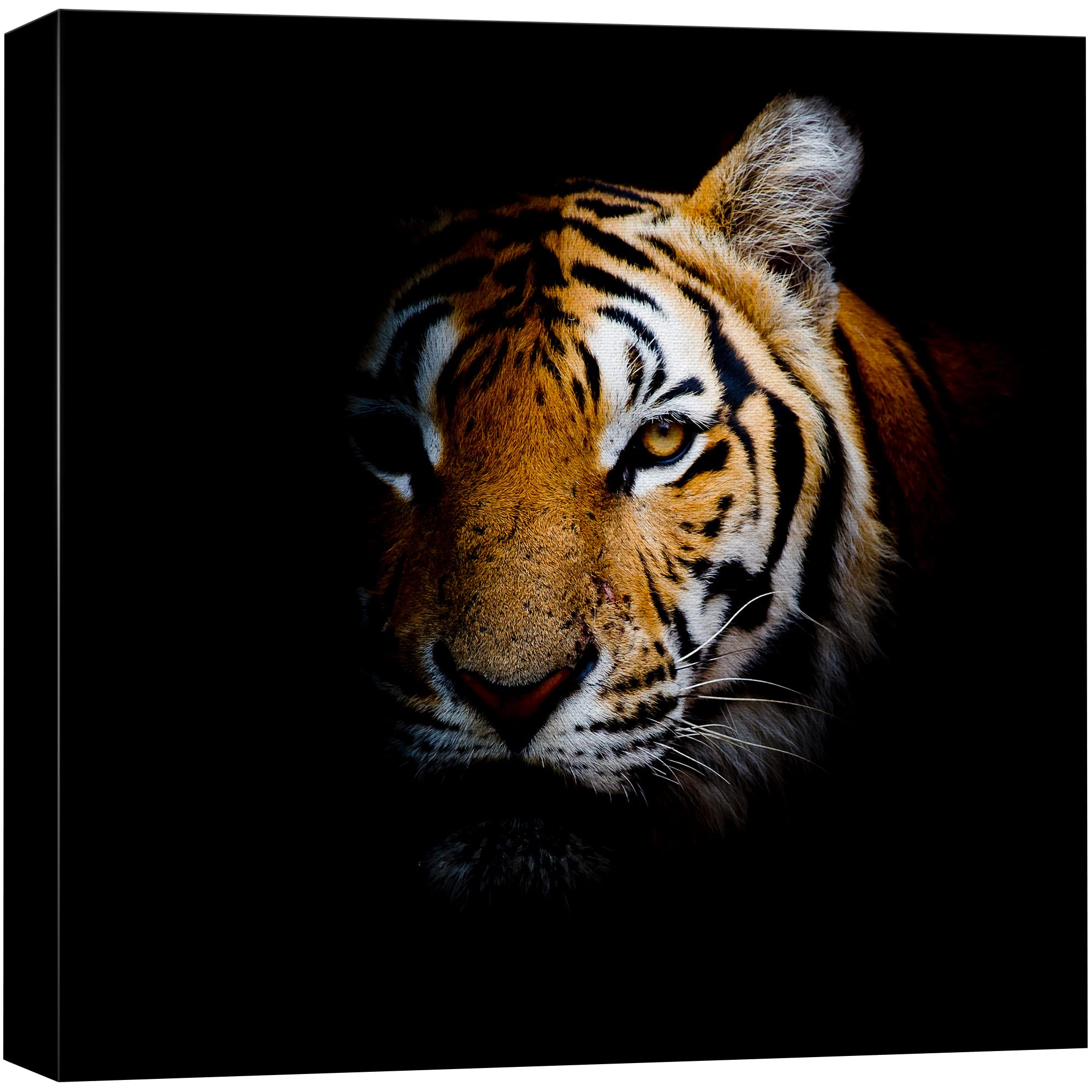 Wall26 Canvas Wall Art - Giclee Print Home Decoration (24'' X 24'', Tiger)