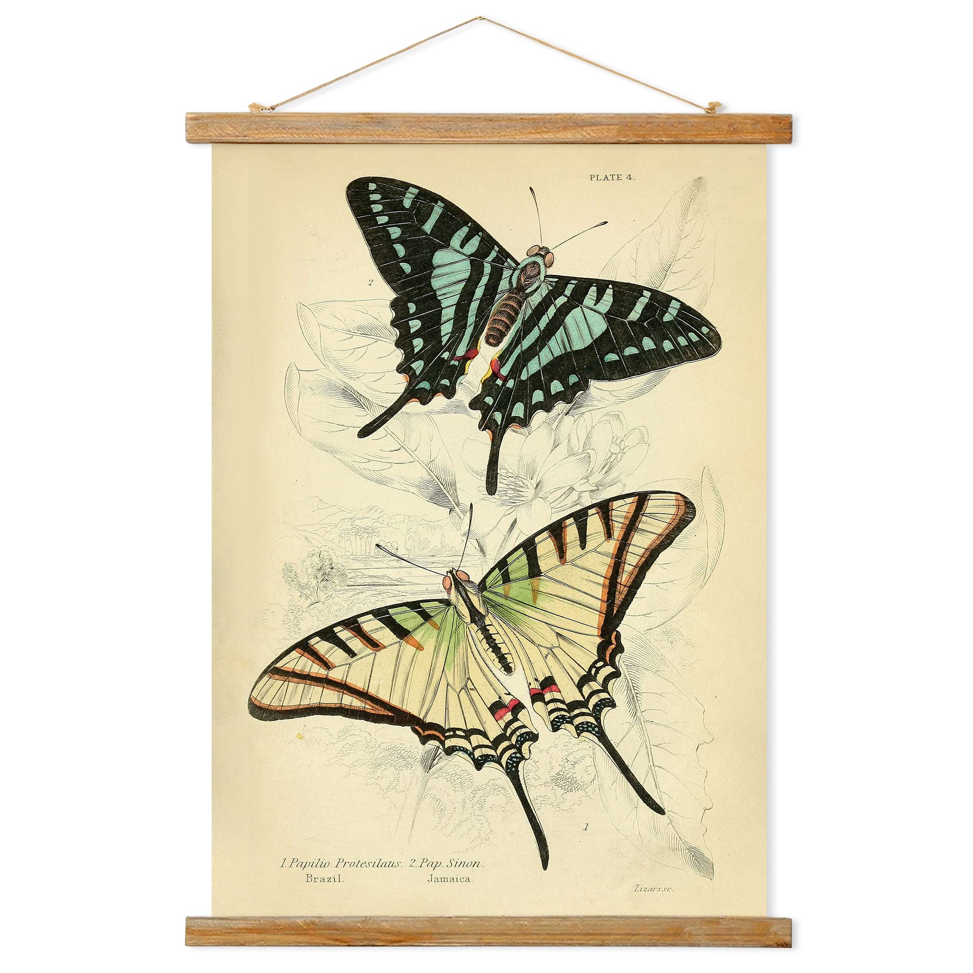 Retro Butterfly Poster Hanger Frame, Retro Style Wall Art Prints, Printed On Linen With Natural Wooden Frames, For Living Room O