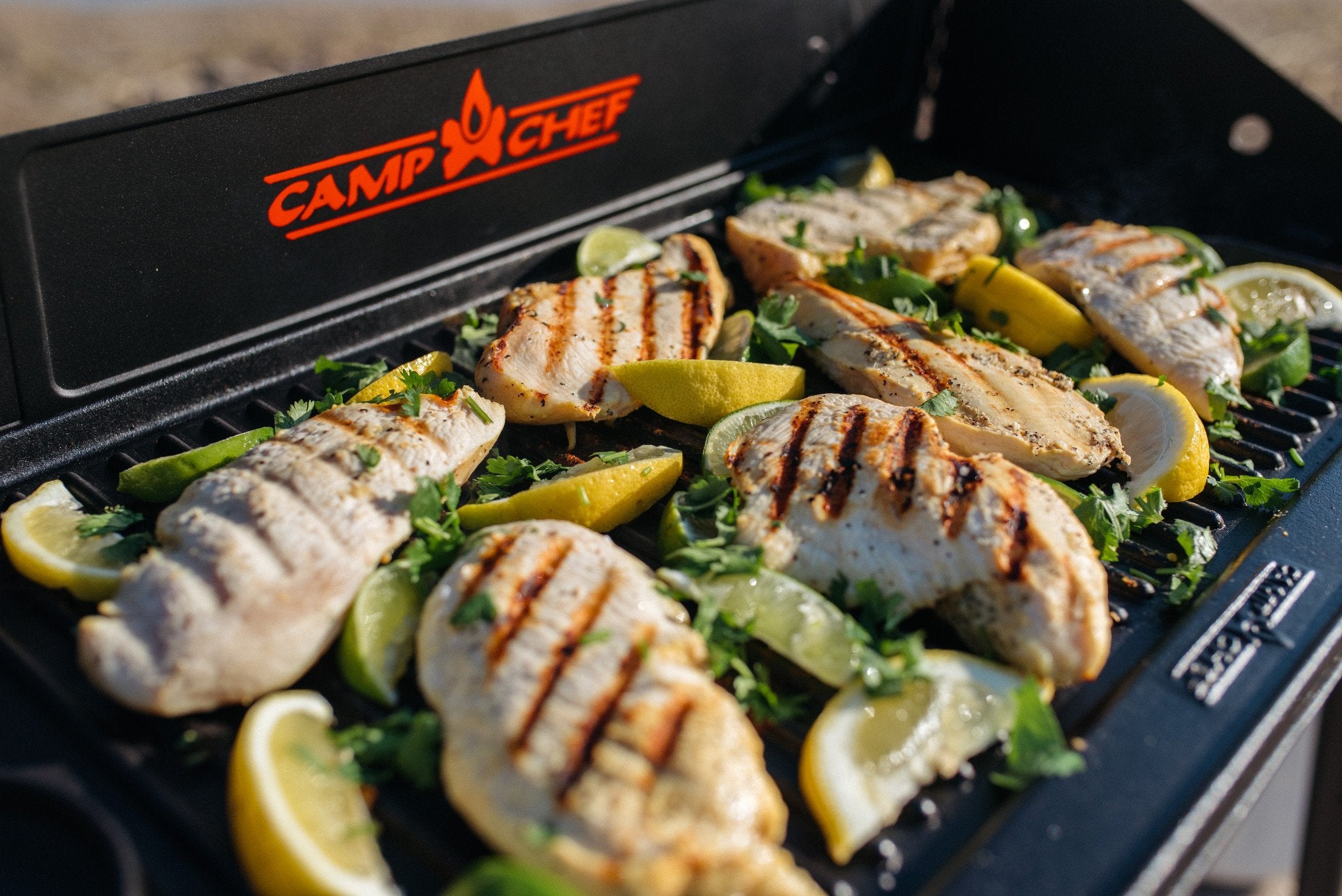 Camp Chef Reversible Griddle - Cast Iron Griddle For Outdoor Cooking & Camping Gear - 16'' X 24''
