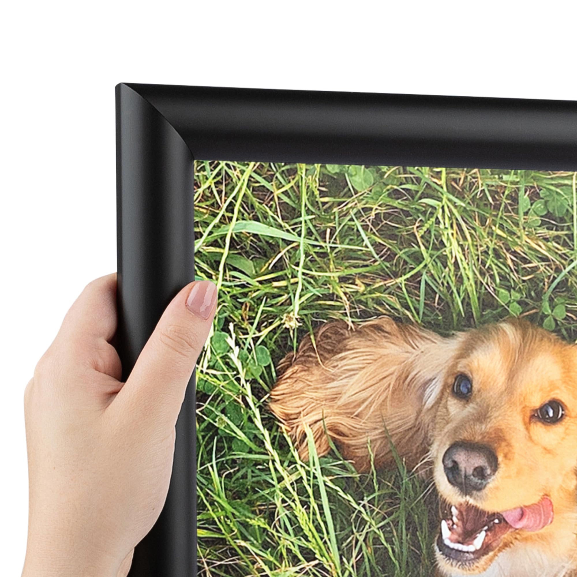 ArtToFrames 9x15 inch 1.25 Satin Black Bull Nose Wood Picture Frame, 2WOM10025-9x15