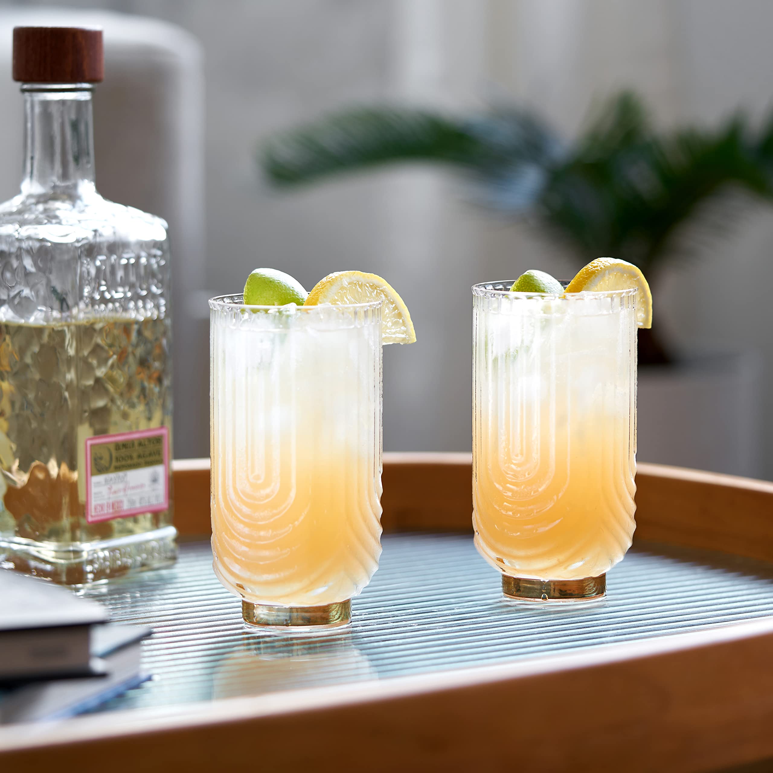 Gatsby Highball Glasses By Viski