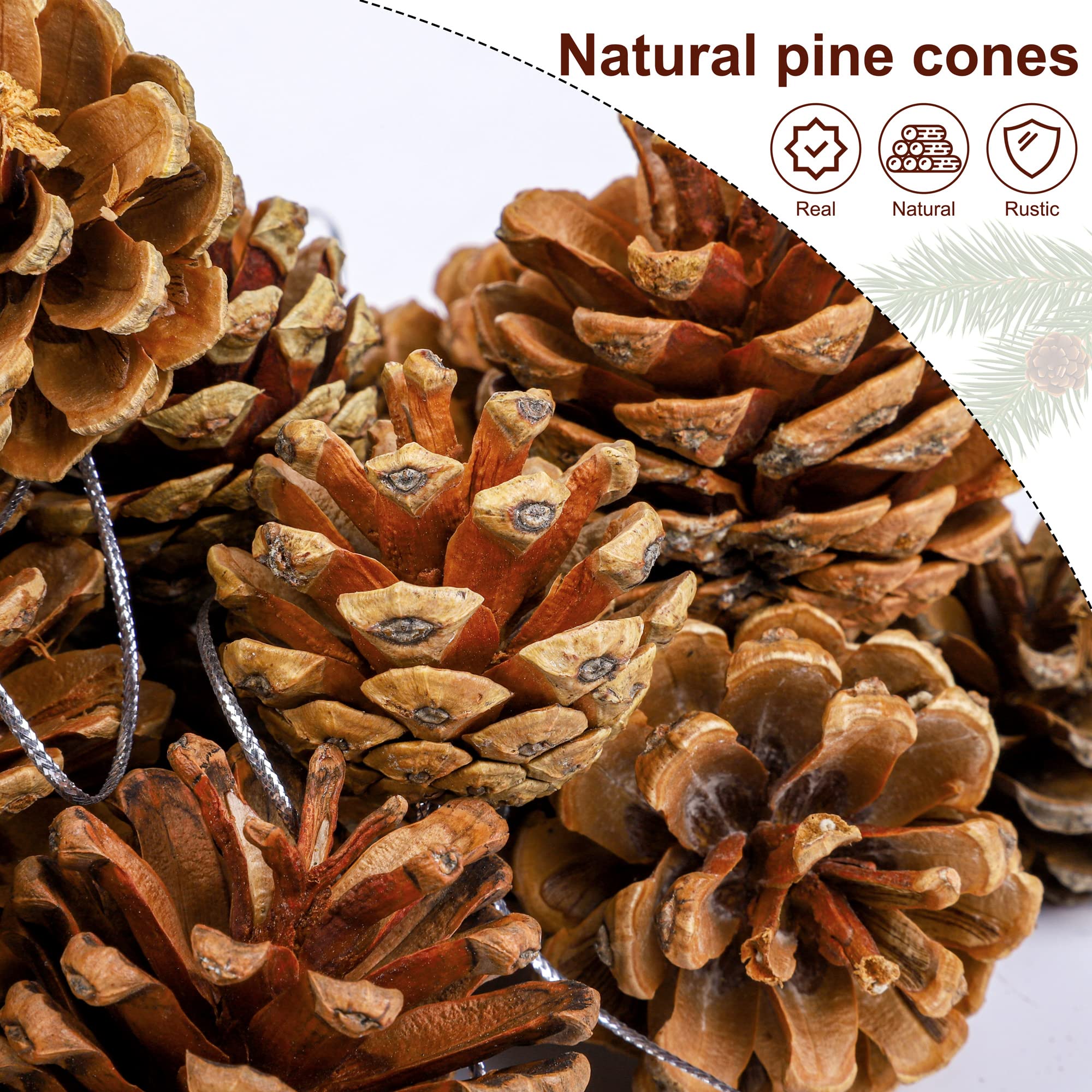 Fovths 30 Pieces 2 Size Christmas Pine Cones with String Mini Rustic Pinecones Bulk Ornaments for Xmas Tree Crafts Holiday Home