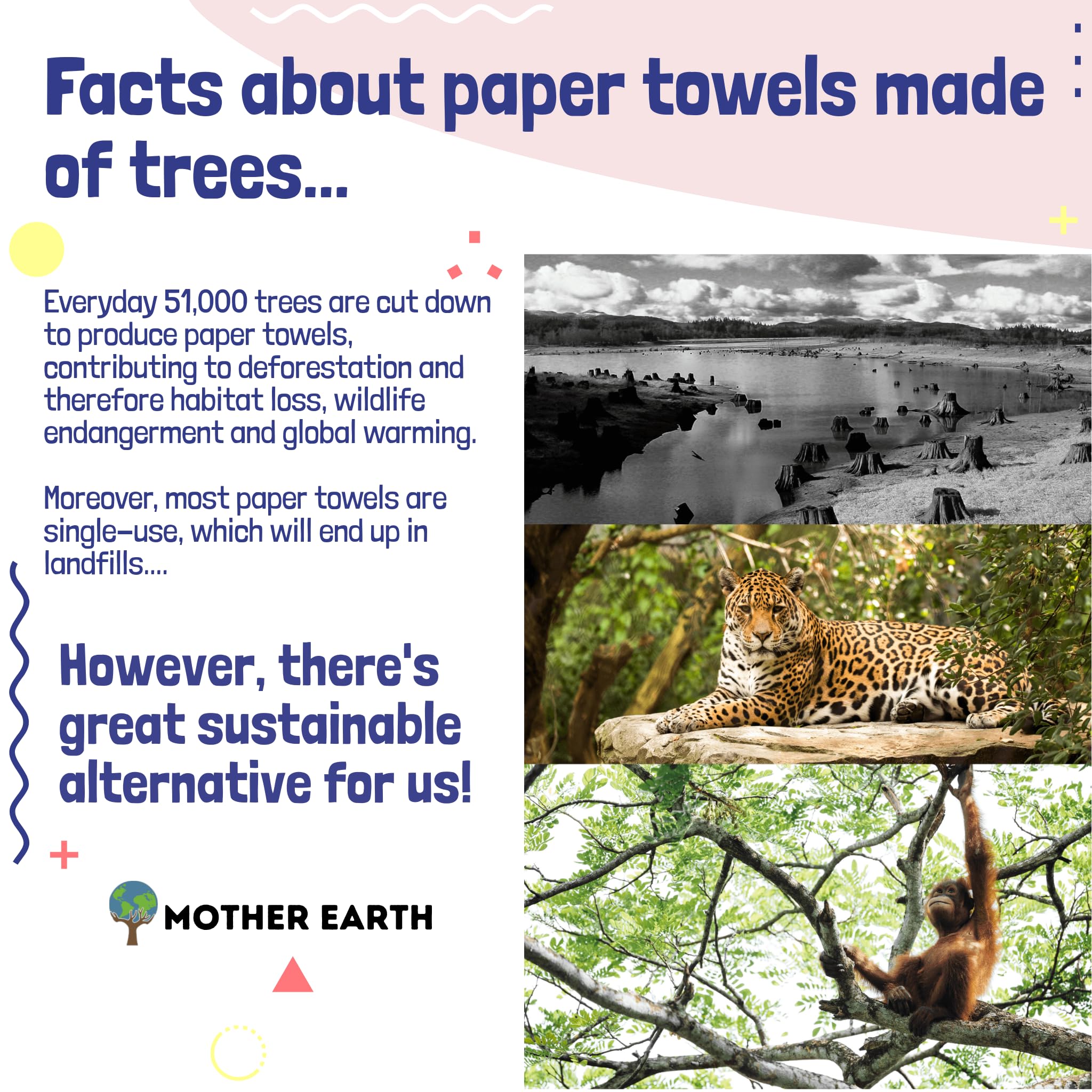 Mother Earth Bamboo Paper Towels | 2-Ply, 3 Rolls, 250 Sheets Per Roll | Gentle For Sensitive Skin & Daily Cleaning Tasks