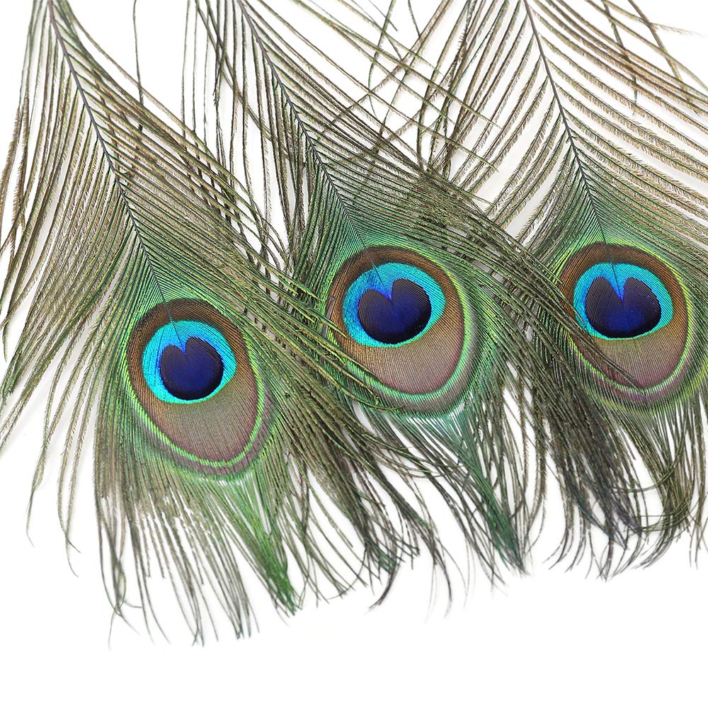 36 Pcs Real Natural Peacock Eye Feathers 10-12 Inch For Diy Craft, Wedding And Holiday Decorations