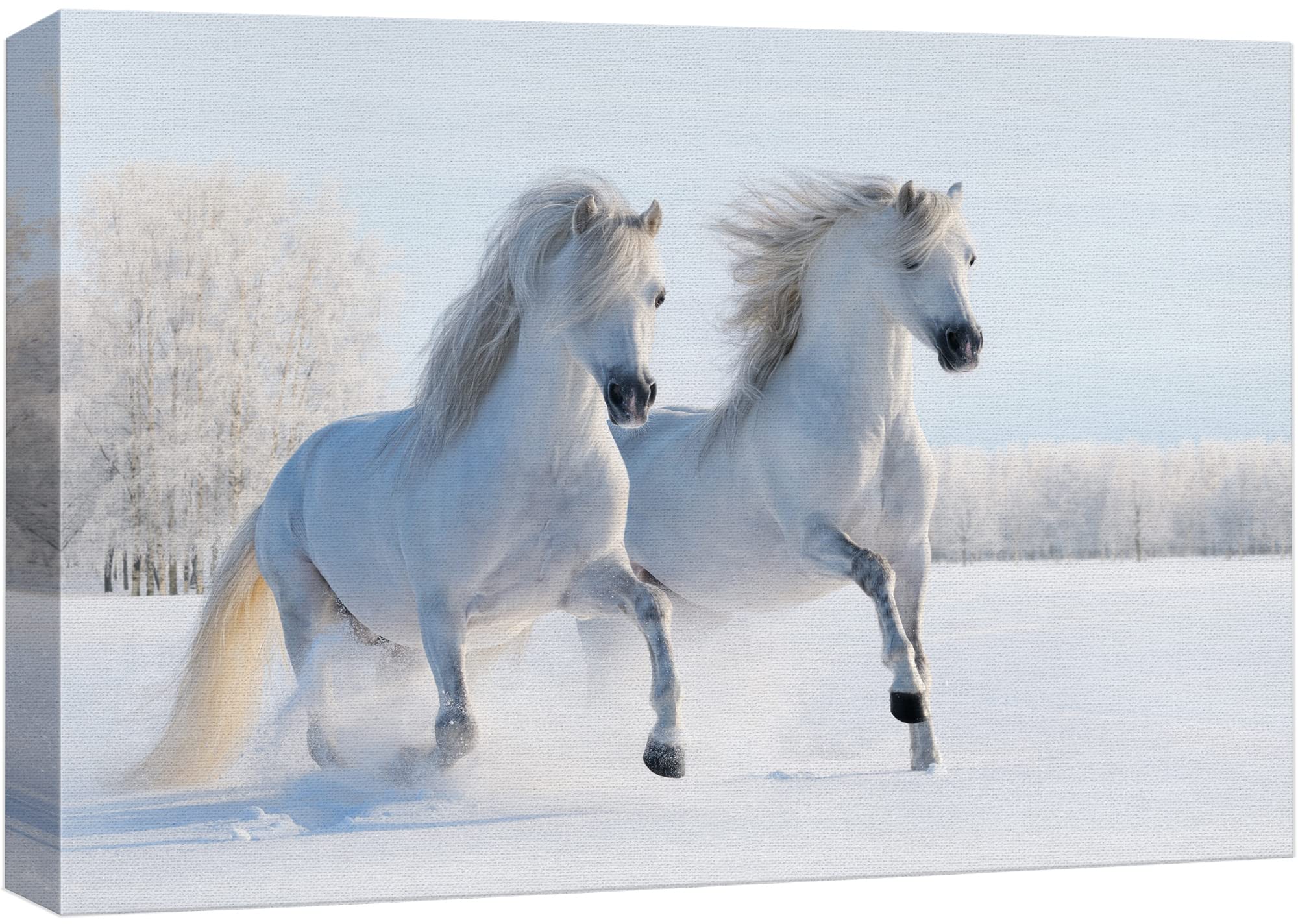 Wall26 Canvas Print Wall Art Duo Of White Stallion In Snowy Winter Forest Field Animals Wildlife Photography Realism Rustic Scen