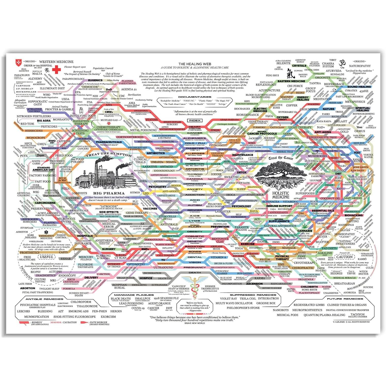 Generic The Healing Web Poster - Natural Remedies Chart 24X36Inch-Framed