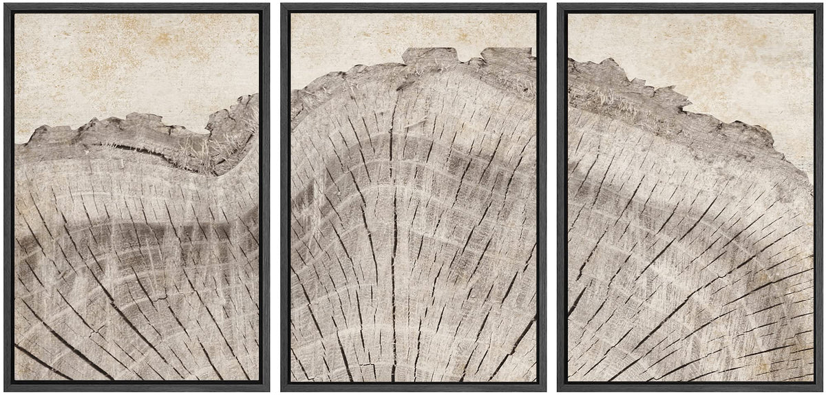 Signwin Framed Canvas Print Wall Art Set Retro Close Up Oak Wood Tree Rings Nature Wilderness Illustrations Modern Art Decorativ