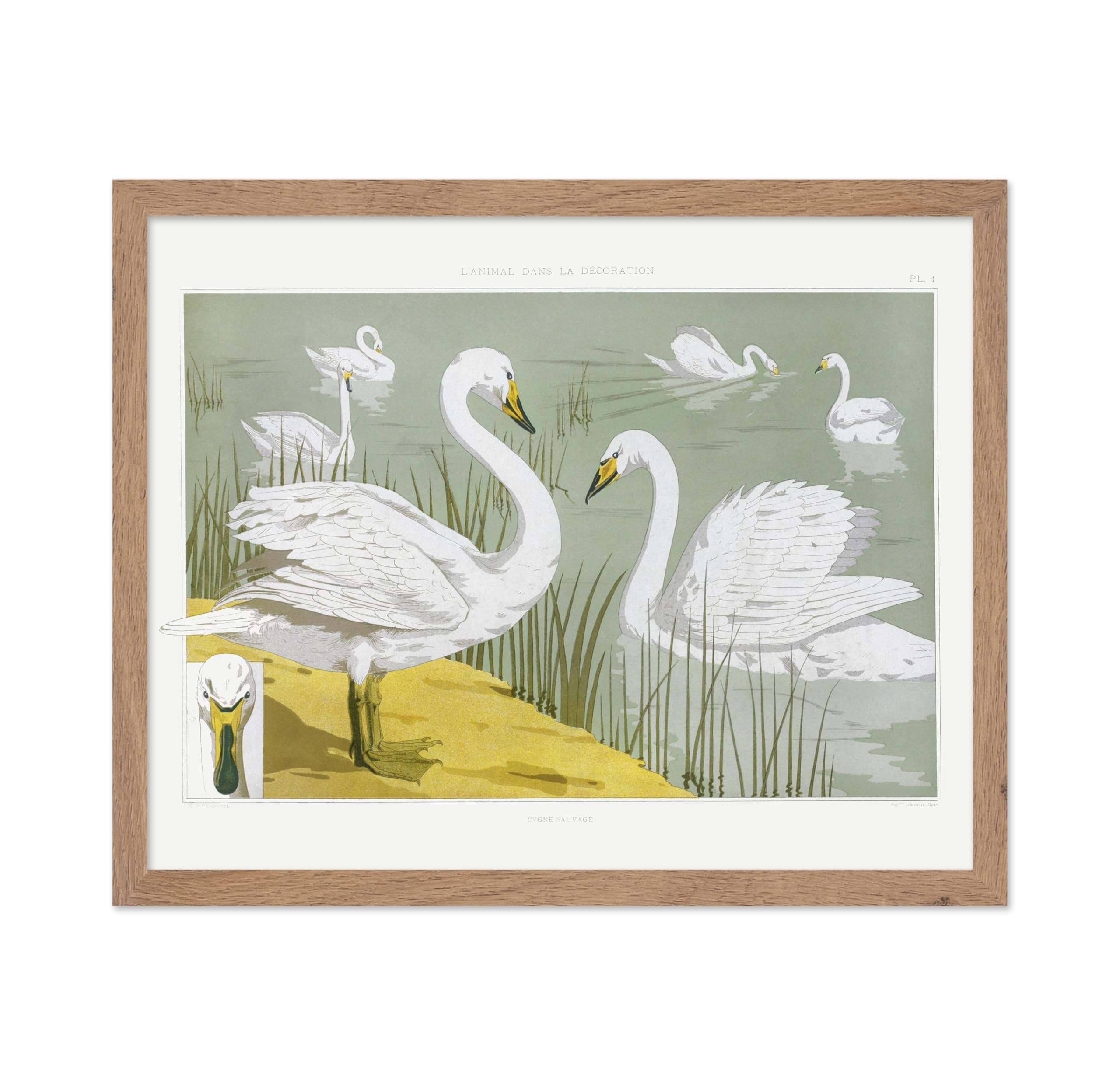Poster Master Classic Animal Poster - Vintage Aesthetic Print - Gift for Artist, Friend - White Wild Swans On The Lake, Nature, 
