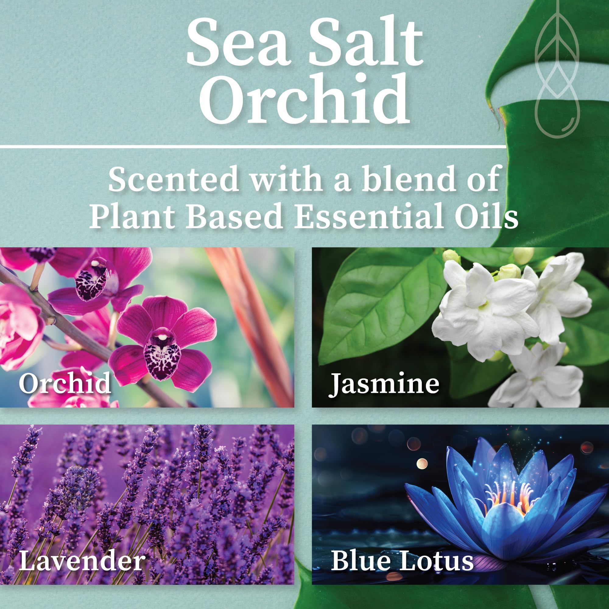 Hemlock Park Crackling Wood Wick Candle Handcrafted with Natural Coconut Wax and Essential Oils (Sea Salt Orchid, Standard 8 oz)