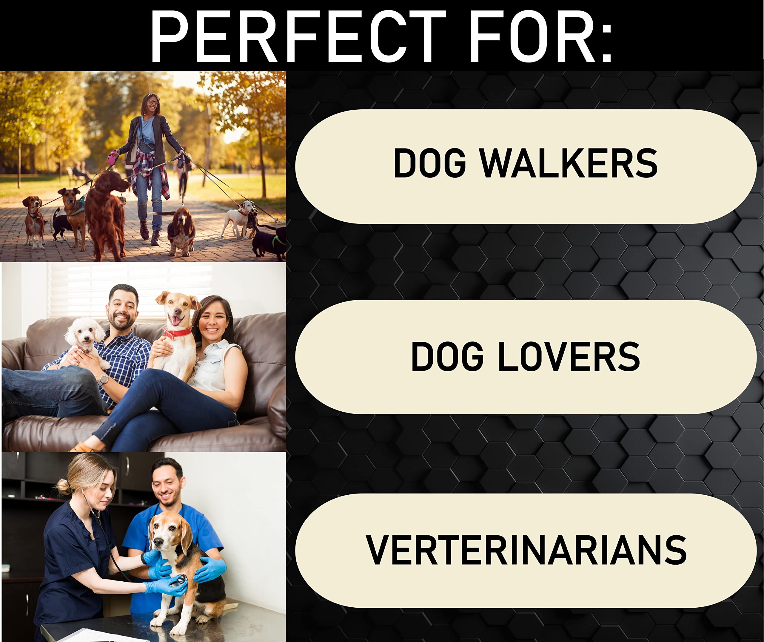 3D Learning Llf Dog Breeds Posters Set 58 Breeds For Lovers, Professionals Wall Art & Decor For Bedrooms, Clinic, Classroom