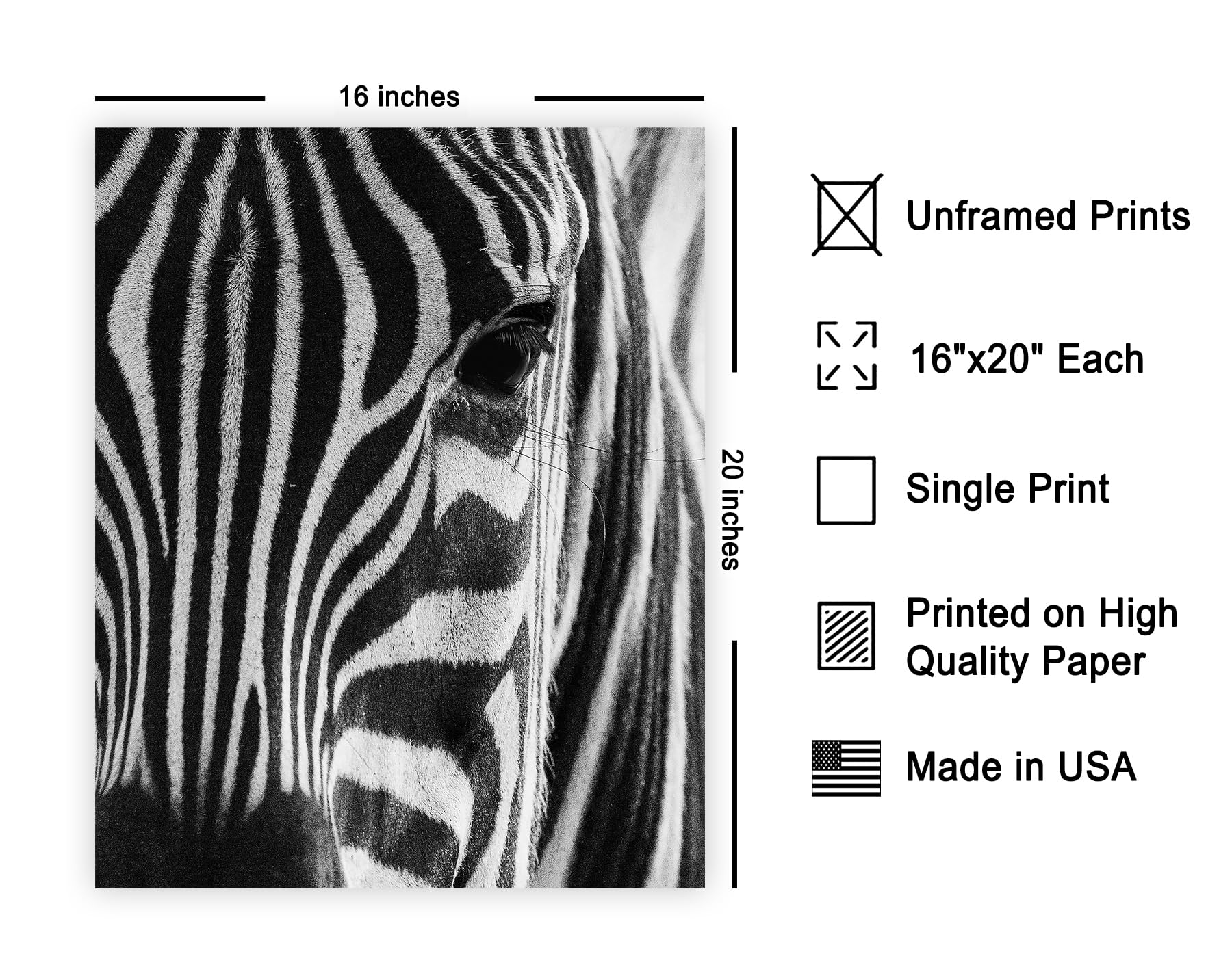 Poster Master Photograph Poster - Retro Animal Print - Striped Zebra, Face Close Up, Safari, Wildlife, Black and White - 16x20 U