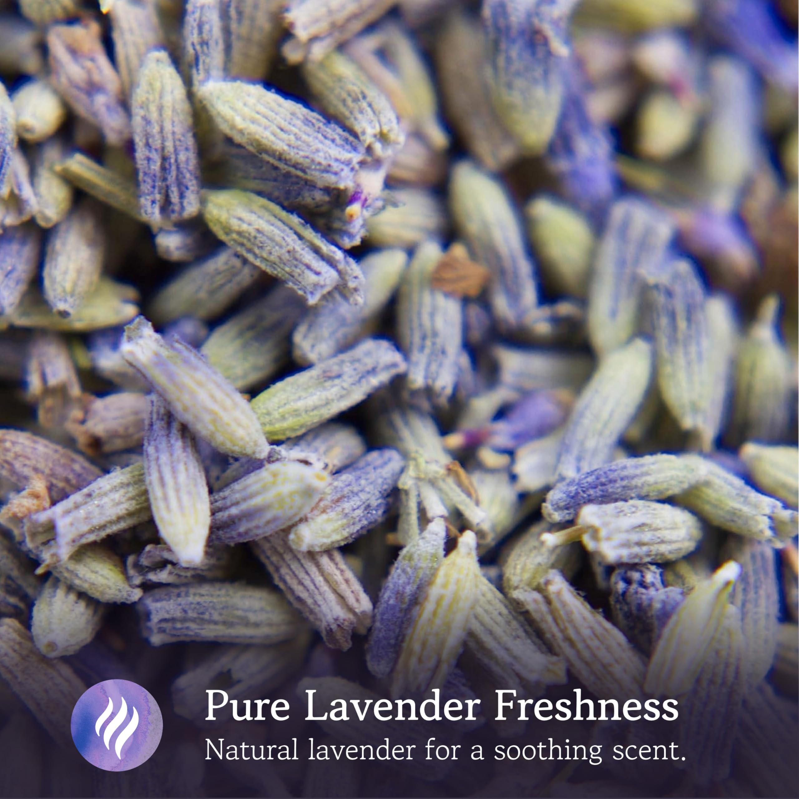 Lavender Sachets for Drawers and closets: 20 Lavender Bags with Dried Lavender Flowers - closet Freshener  closet Scent - Lavender Sachet Bags Lavodia