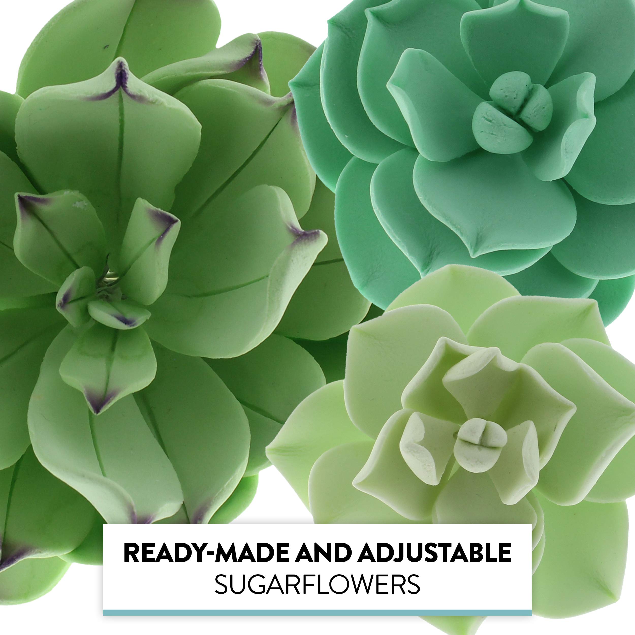 Global Sugar Art Succulents Sugar Cake Flowers, Set Of 3 By Chef Alan Tetreault