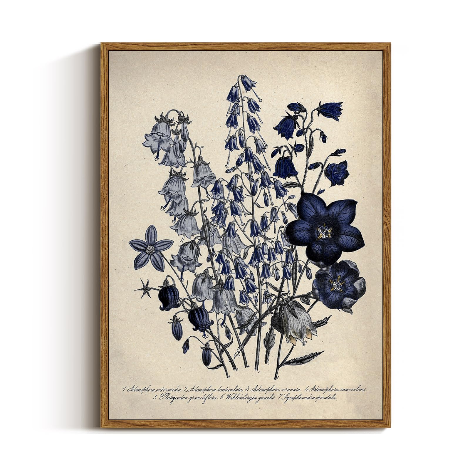 Viyyiea Vintage Framed Botanical Wall Art Decor, Living Room Bedroom Blue Campanula Pictures Retro Wall Decor, Framed Canvas Pri