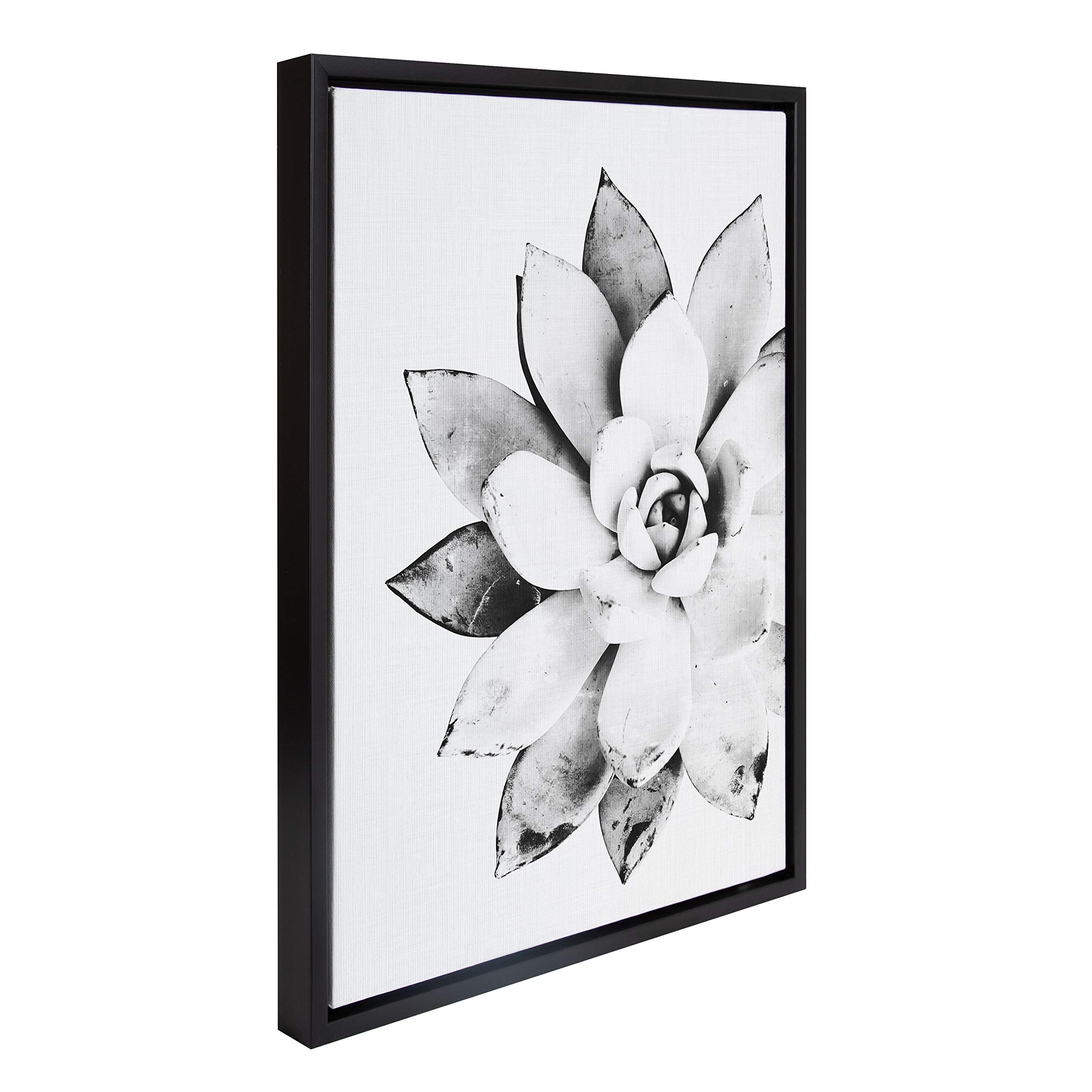 Kate And Laurel Sylvie Black And White Modern Succulent Print Framed Canvas Wall Art By Simon Te Tai, 18X24 Black