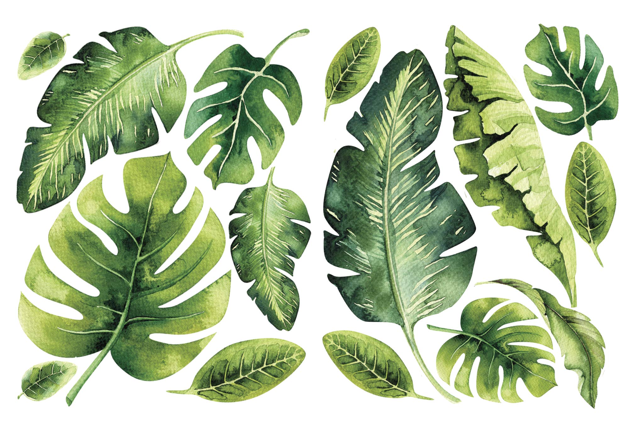 Palm Leaf Wall Stickers - Tropical Leaves Decals - Foliage Monstera Wall Decal - Jungle Theo Leaf Decals - Banana Greenery Vinyl D?or Cling with Gift