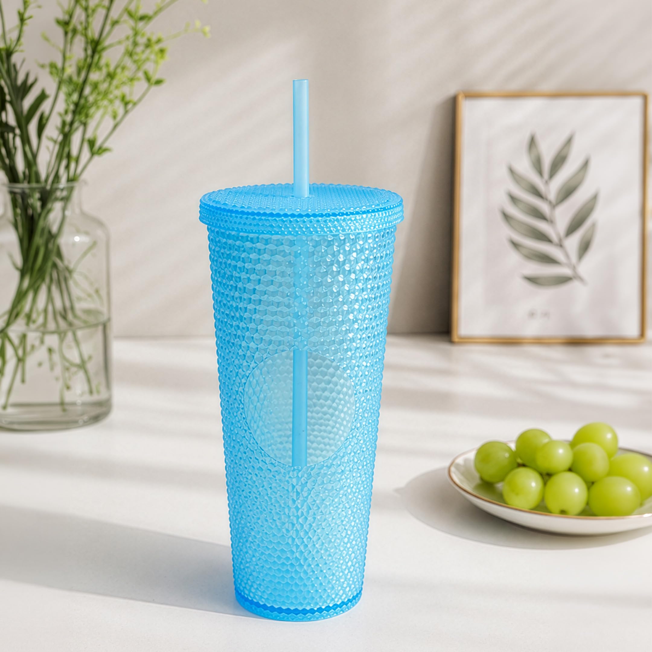 HomeEssentials Studded Tumbler with Lid and Straw  Reusable Insulated Cold Cup, Textured Acrylic Water Tumbler for Iced Coffee,